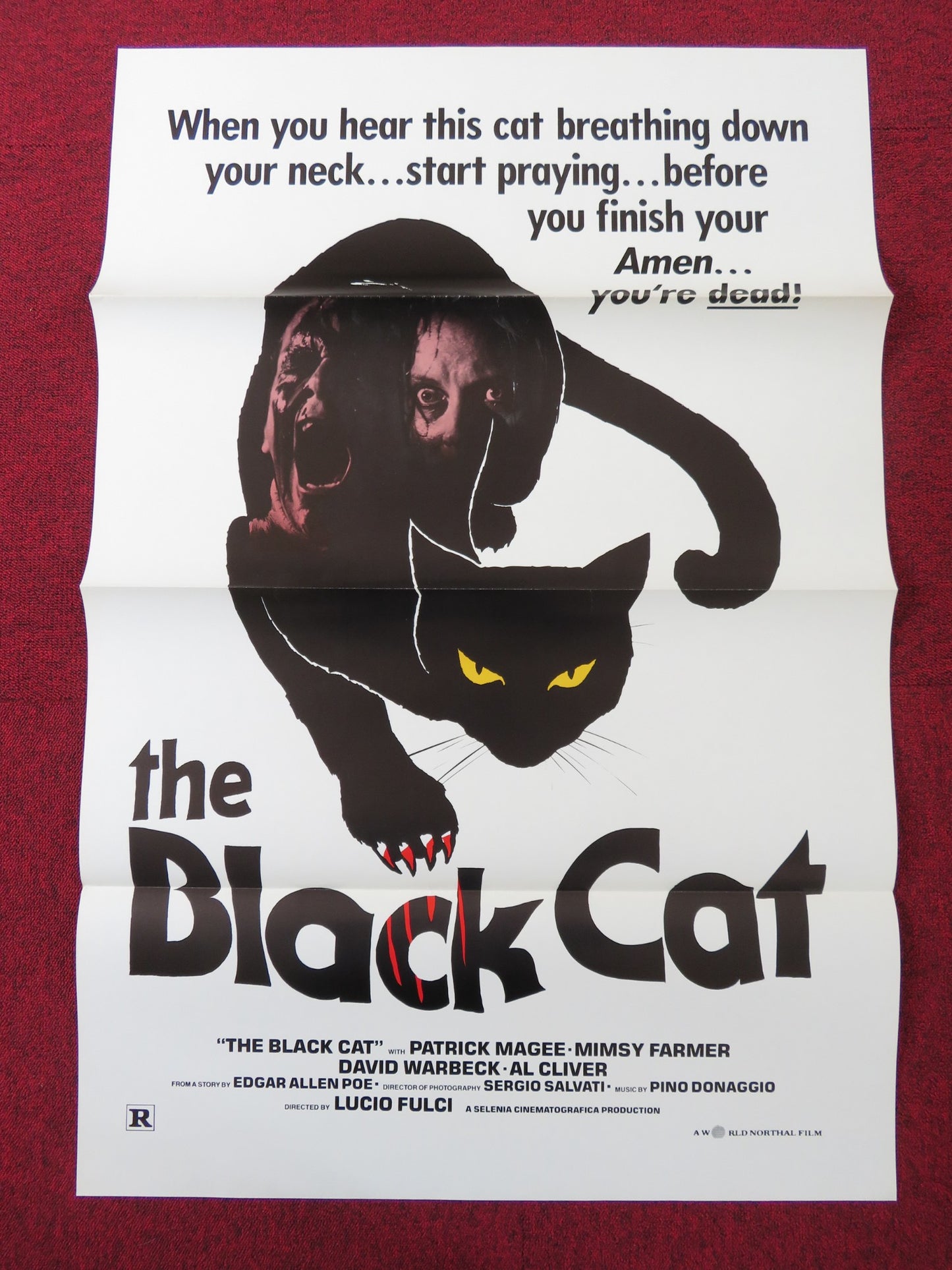 THE BLACK CAT US TRI FOLDED ONE SHEET ROLLED POSTER PATRICK MAGEE 1981