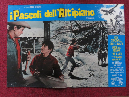 I PASCOLI DELL'ALTIPIANO - E ITALIAN FOTOBUSTA POSTER CARDI GUY STOCKWELL 1966