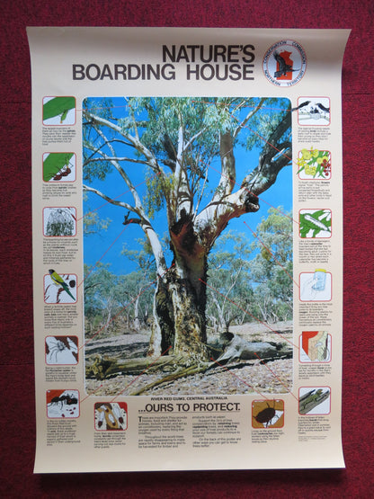 CONSERVATION POSTER- NATURES BOARDING HOUSE -2 SIDED