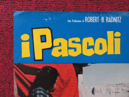 I PASCOLI DELL'ALTIPIANO - G ITALIAN FOTOBUSTA POSTER CARDI GUY STOCKWELL 1966