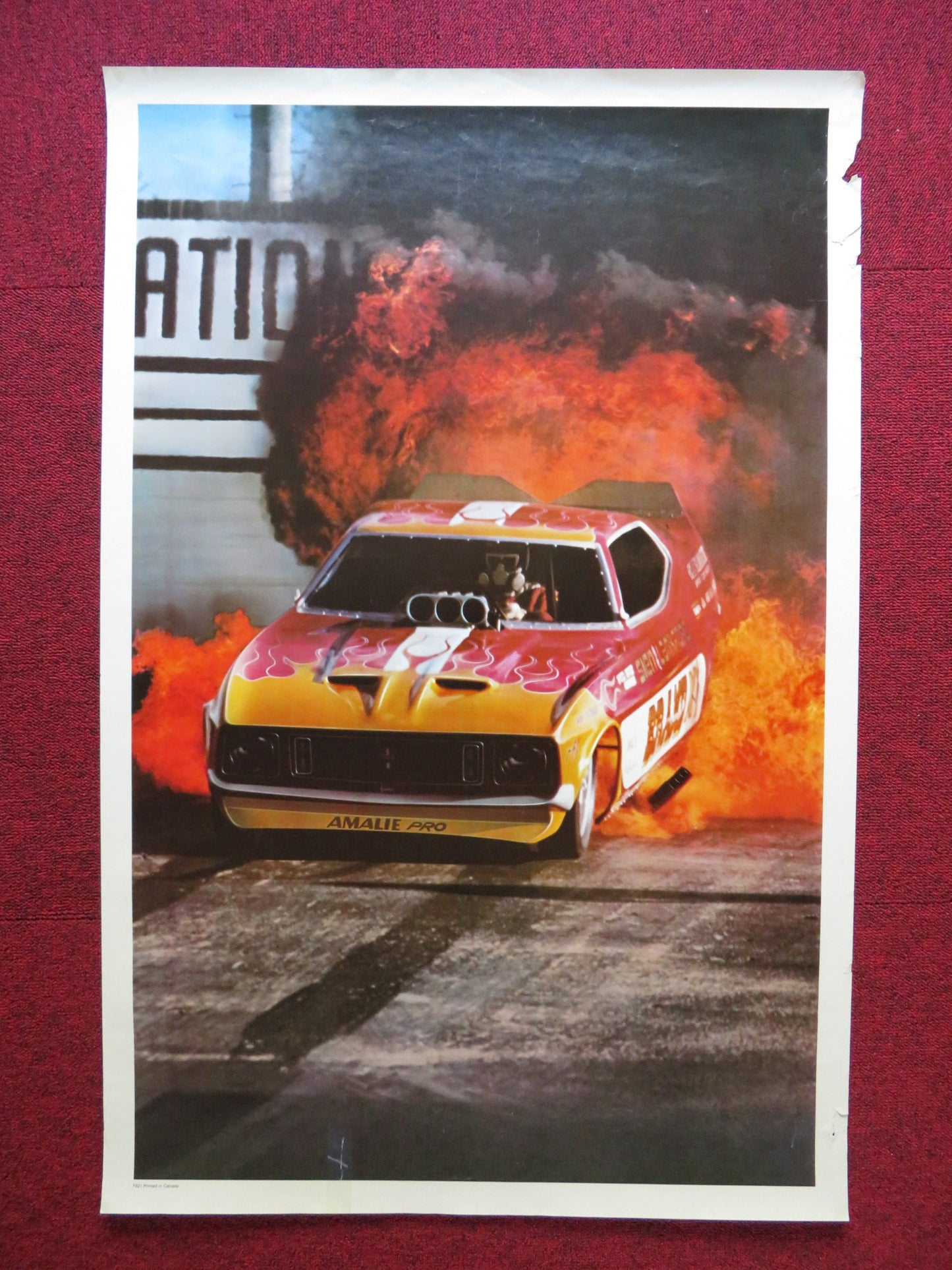 DOG & KITTEN-DRAG RACING CAR CANADIAN POSTER- 2 SIDED POSTER