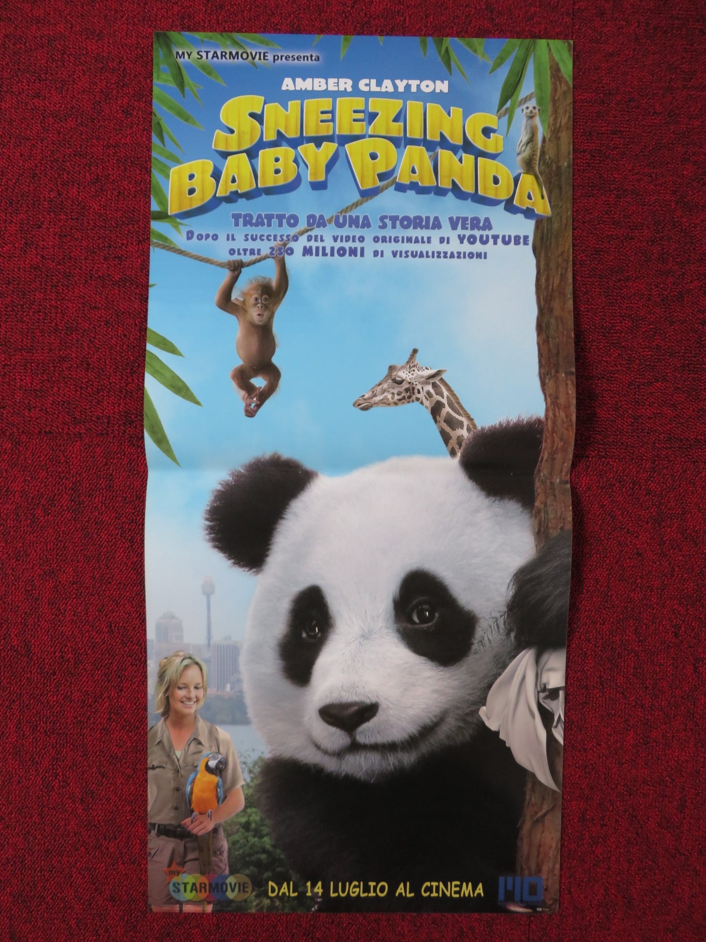 SNEEZING BABY PANDA: THE MOVIE ITALIAN LOCANDINA POSTER AMBER CLAYTON 2015