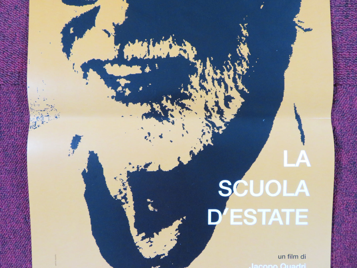 LA SCUOLA D'ESTATE ITALIAN LOCANDINA POSTER LUCA RONCONI IVAN ALOVISIO 2014