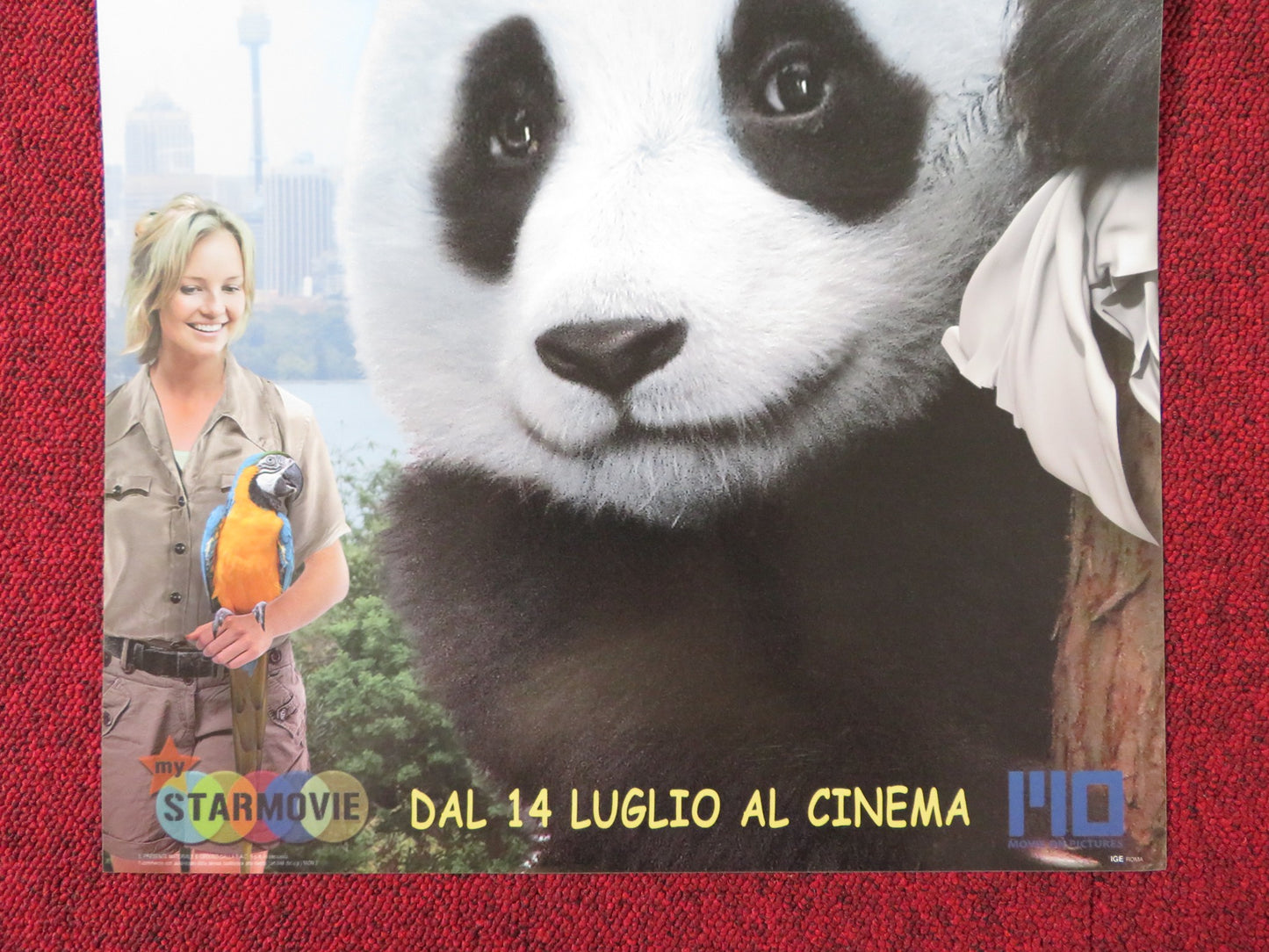 SNEEZING BABY PANDA: THE MOVIE ITALIAN LOCANDINA POSTER AMBER CLAYTON 2015