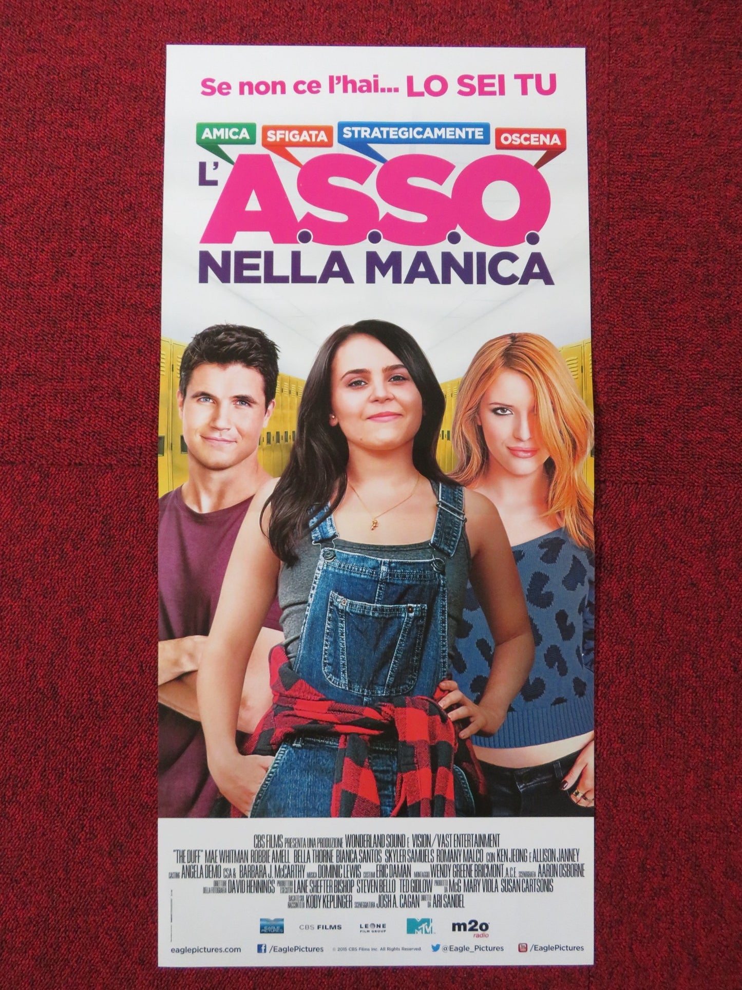 L'A.S.S.O. NELLA MANICA ITALIAN LOCANDINA POSTER MAE WHITMAN ROBBIE AMELL 2015