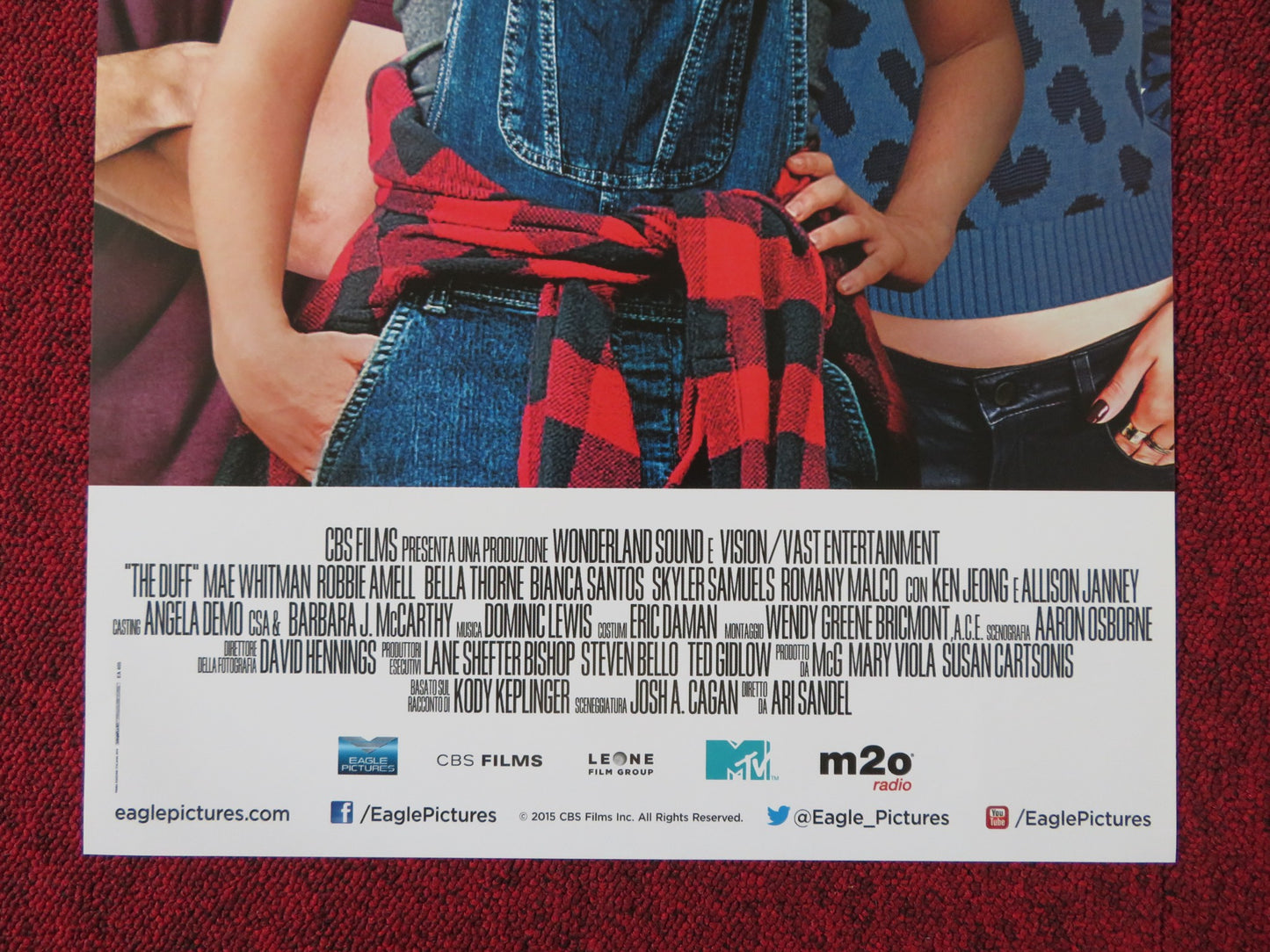 L'A.S.S.O. NELLA MANICA ITALIAN LOCANDINA POSTER MAE WHITMAN ROBBIE AMELL 2015