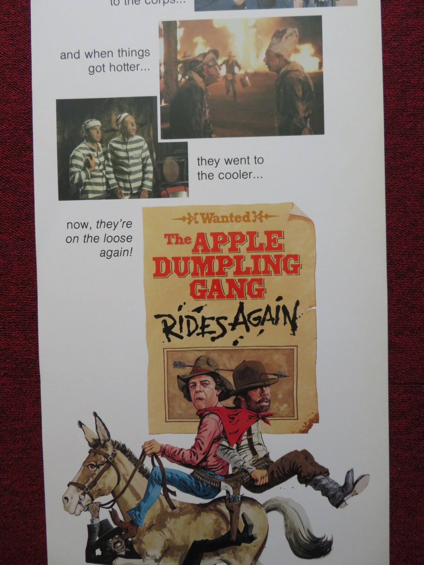 THE APPLE DUMPLING GANG RIDES AGAIN US INSERT (14"x 36") POSTER DISNEY T.CONWAY