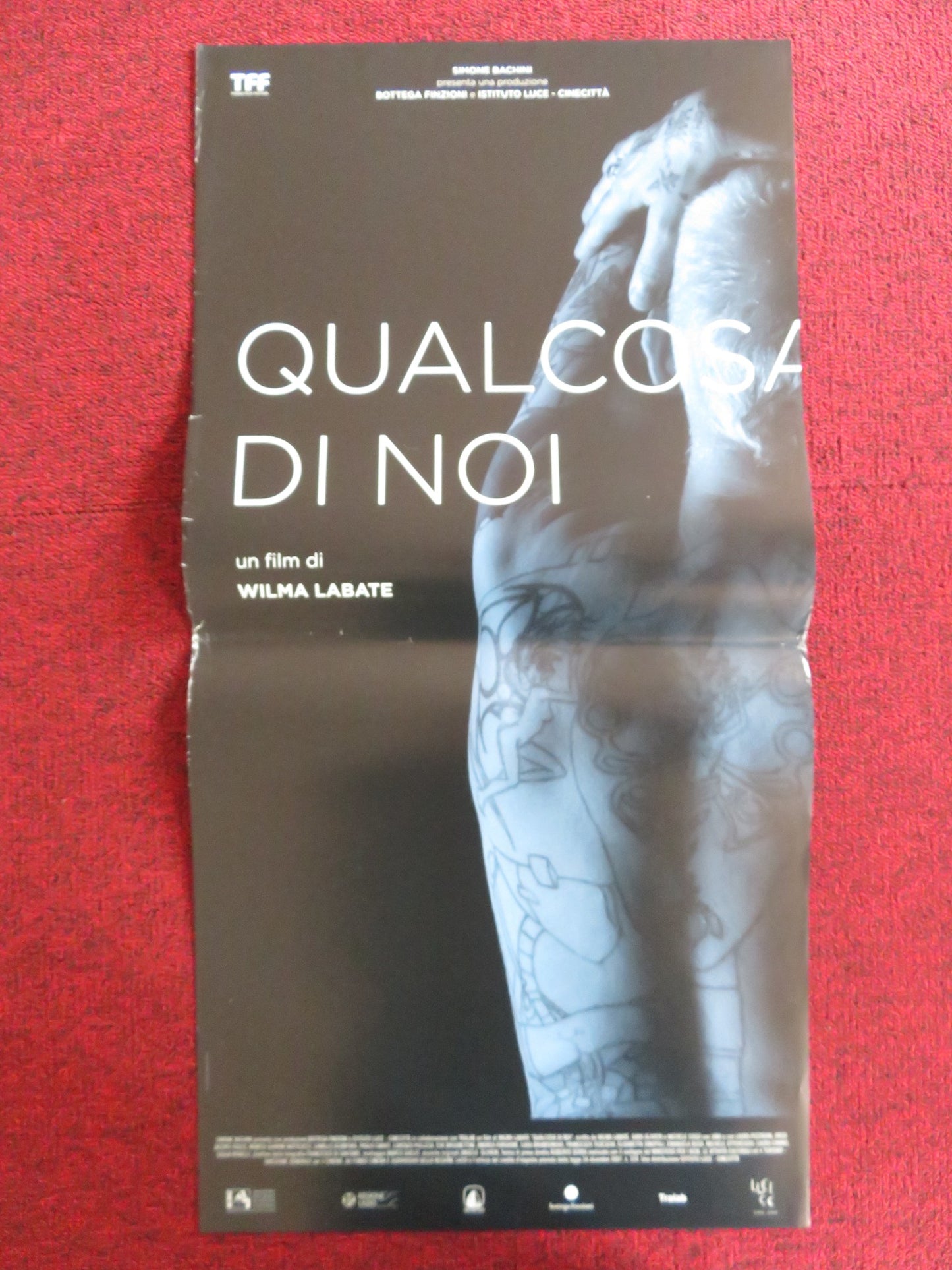 QUALCOSA DI NOI ITALIAN LOCANDINA POSTER JANA LAURA PIZZIRANI 2014