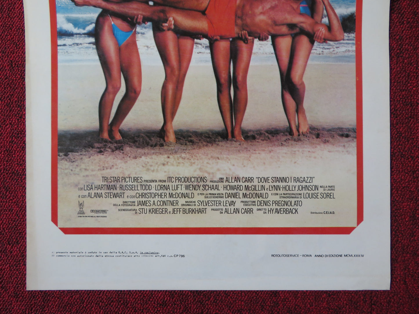 DOVE STANNO I RAGAZZI ITALIAN LOCANDINA POSTER LISA HARTMAN RUSSELL TODD 1984