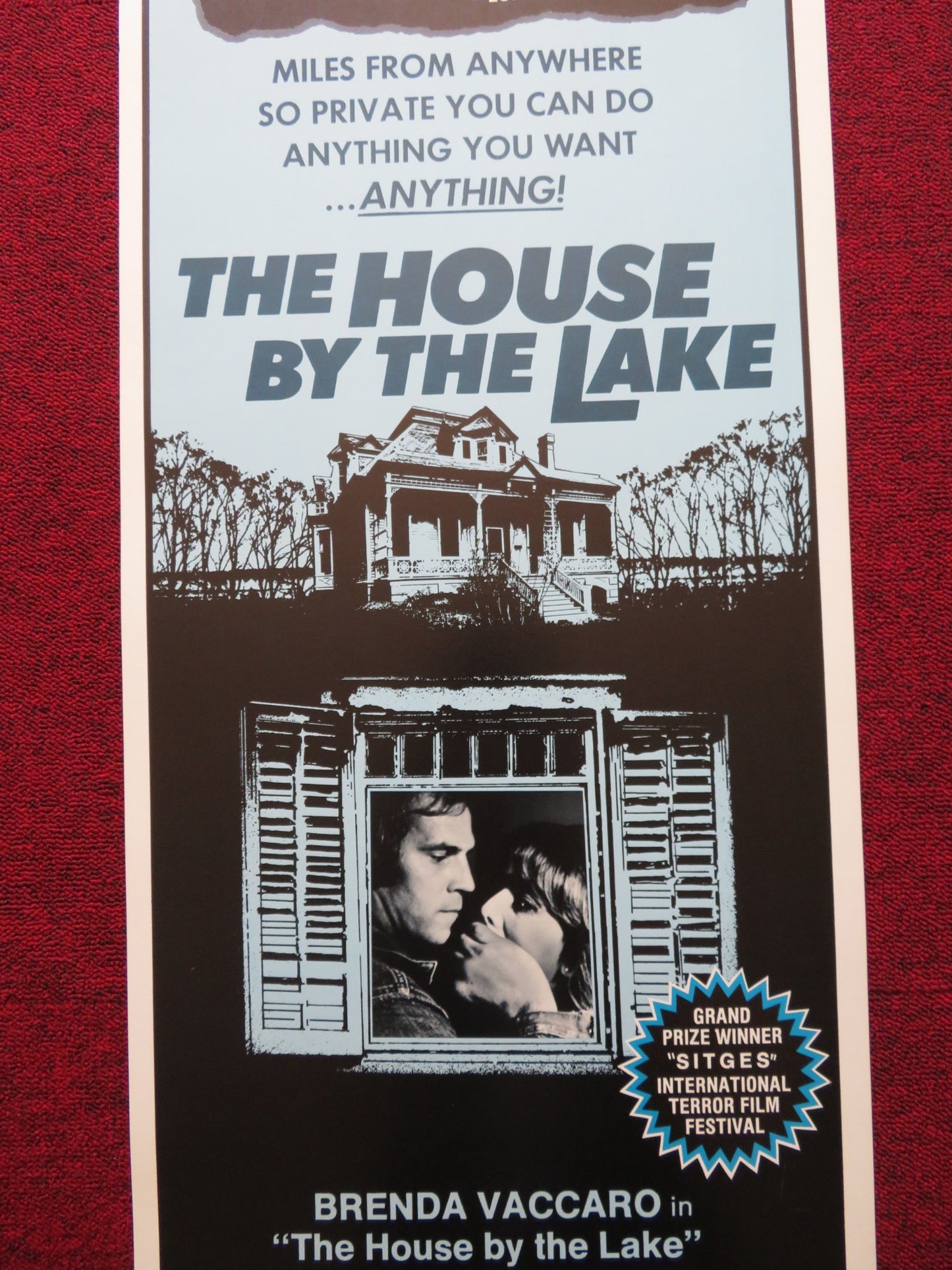 THE HOUSE BY THE LAKE US INSERT (14"x 36") POSTER BRENDA VACCARO DON STROUD 1976