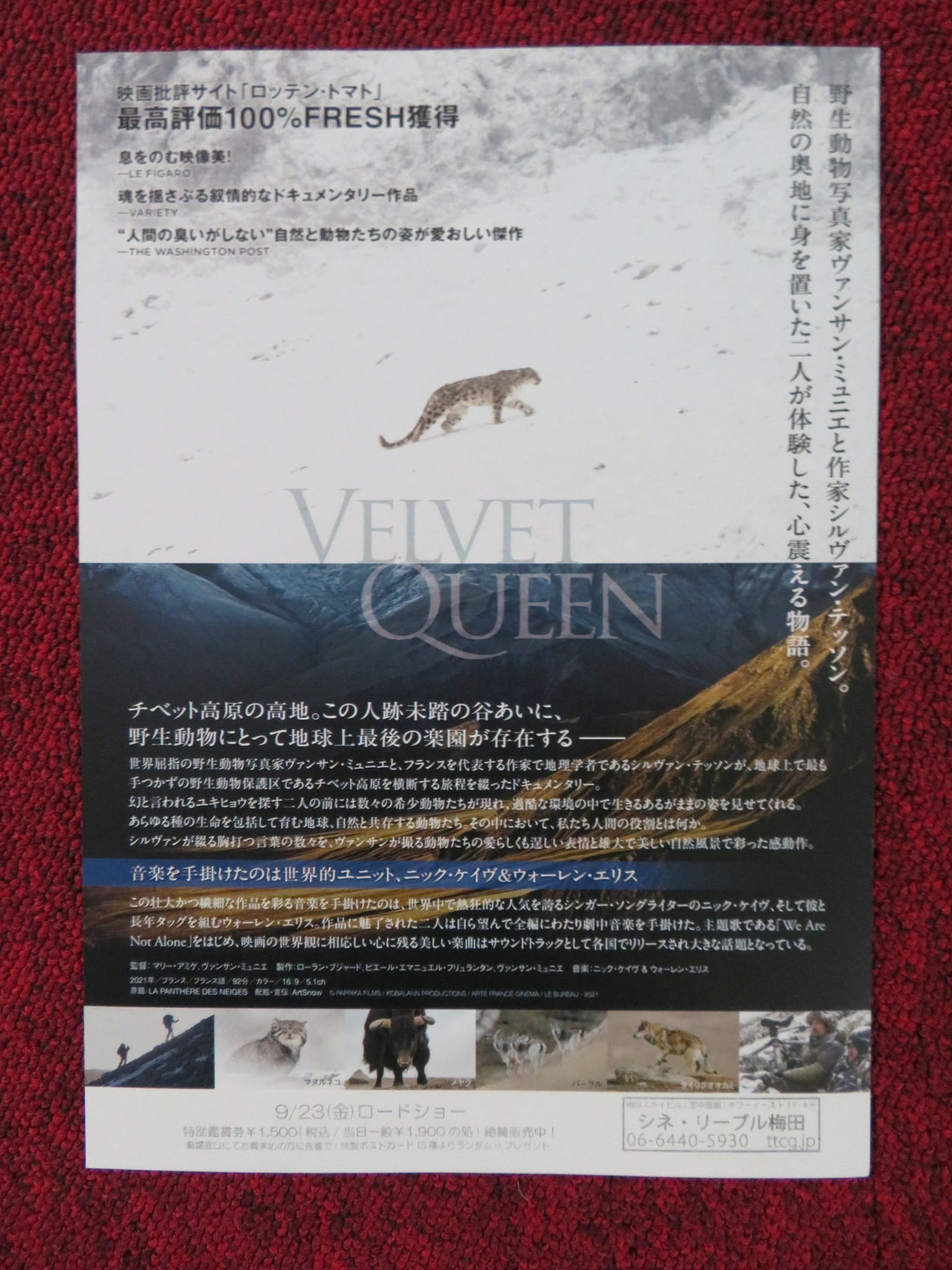 THE VELVET QUEEN JAPANESE CHIRASHI (B5) POSTER VINCENT MUNIER 2021