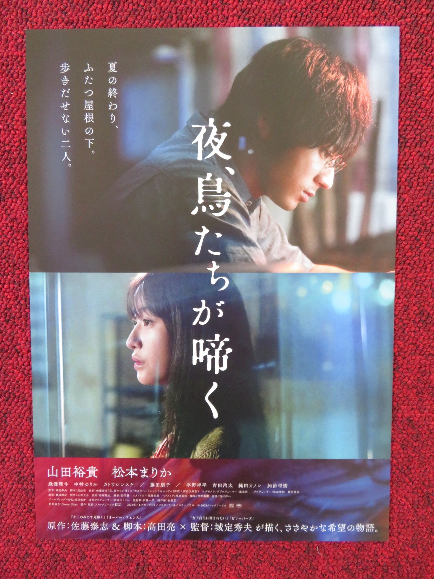 NIGHT, BIRDS SCREAM JAPANESE CHIRASHI (B5) POSTER YAMADA YUKI MARIKA 2022