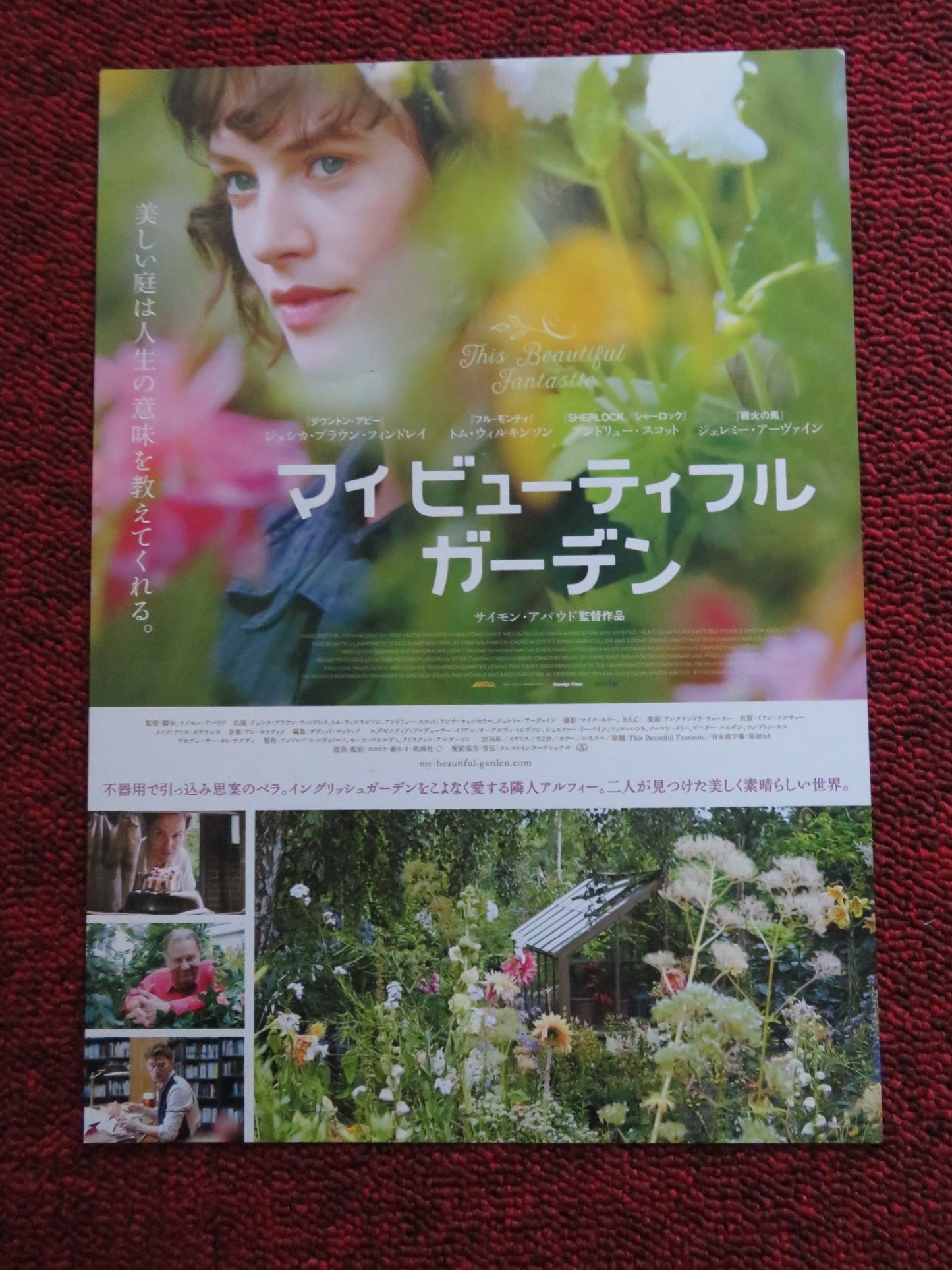 THIS BEAUTIFUL FANASTIC JAPANESE CHIRASHI (B5) POSTER MIA FARKASOVSKA 2016