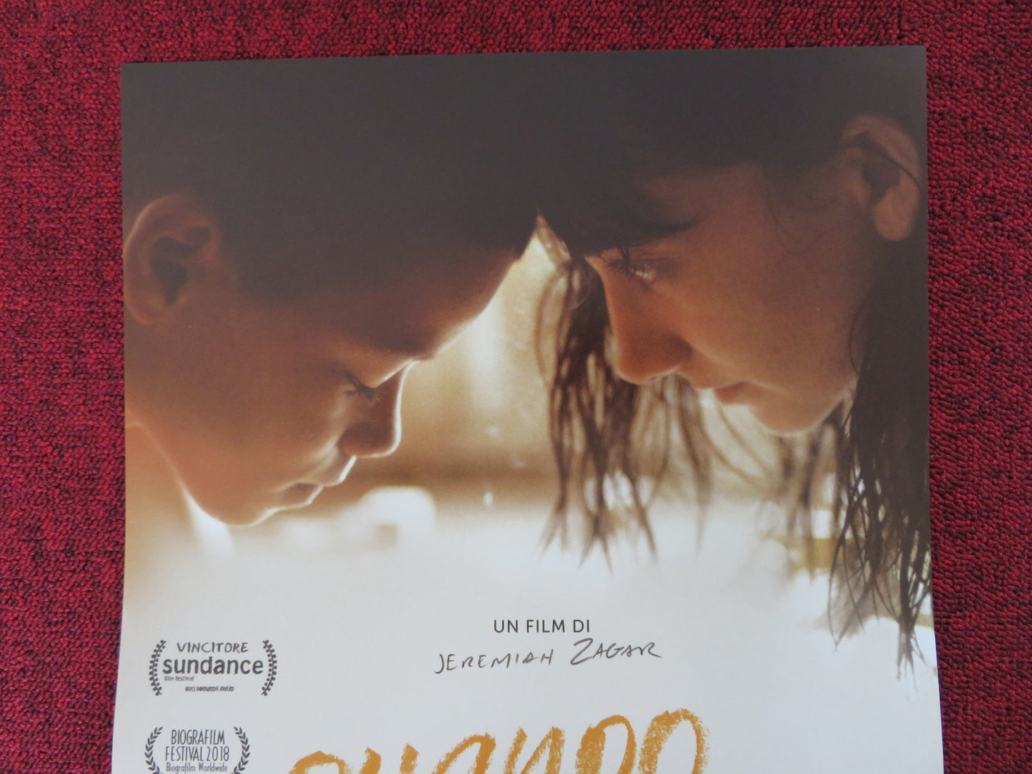 WE THE ANIMALS ITALIAN LOCANDINA POSTER EVAN ROSADO RAUL CASTILLO 2018