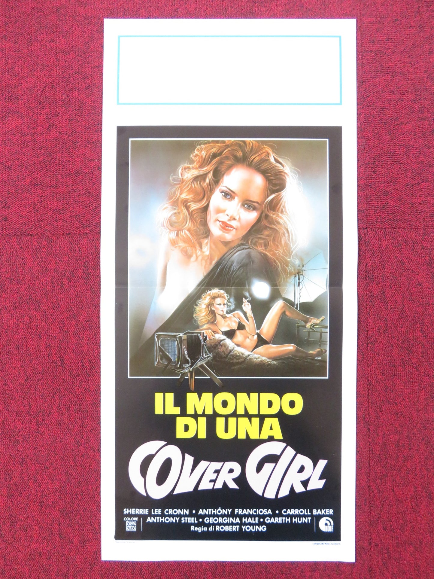 THE WORLD IS FULL OF MARRIED MEN ITALIAN LOCANDINA POSTER SHERRIE LEE CRONN 1983