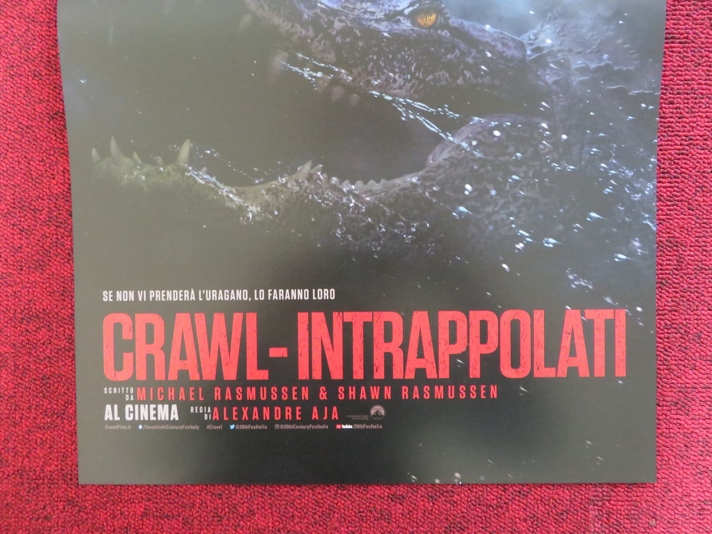 CRAWL ITALIAN LOCANDINA POSTER KAYA SCODELARIO BARRT PEPPER 2019