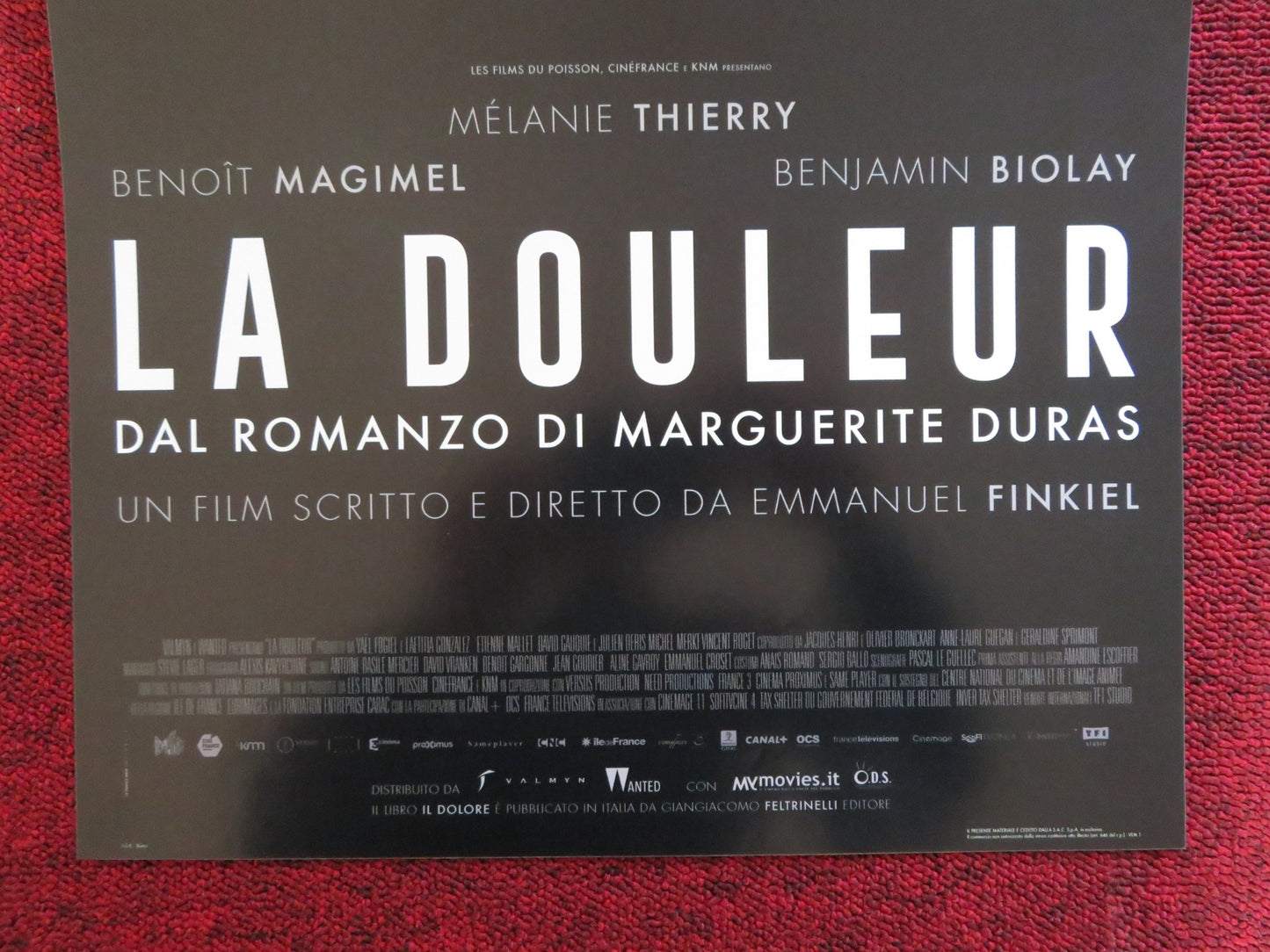 LA DOULEUR ITALIAN LOCANDINA POSTER BENOIT MAGIMEL BENJAMIN BIOLAY 2017