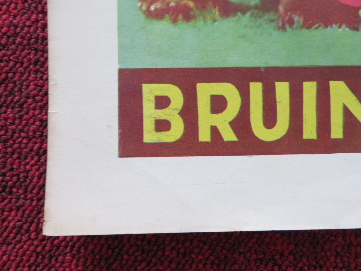 BRUINTJE OP ZWIER / RUINED BRUIN BELGIUM POSTER MARY GARCIA KATHY WALKER 1960