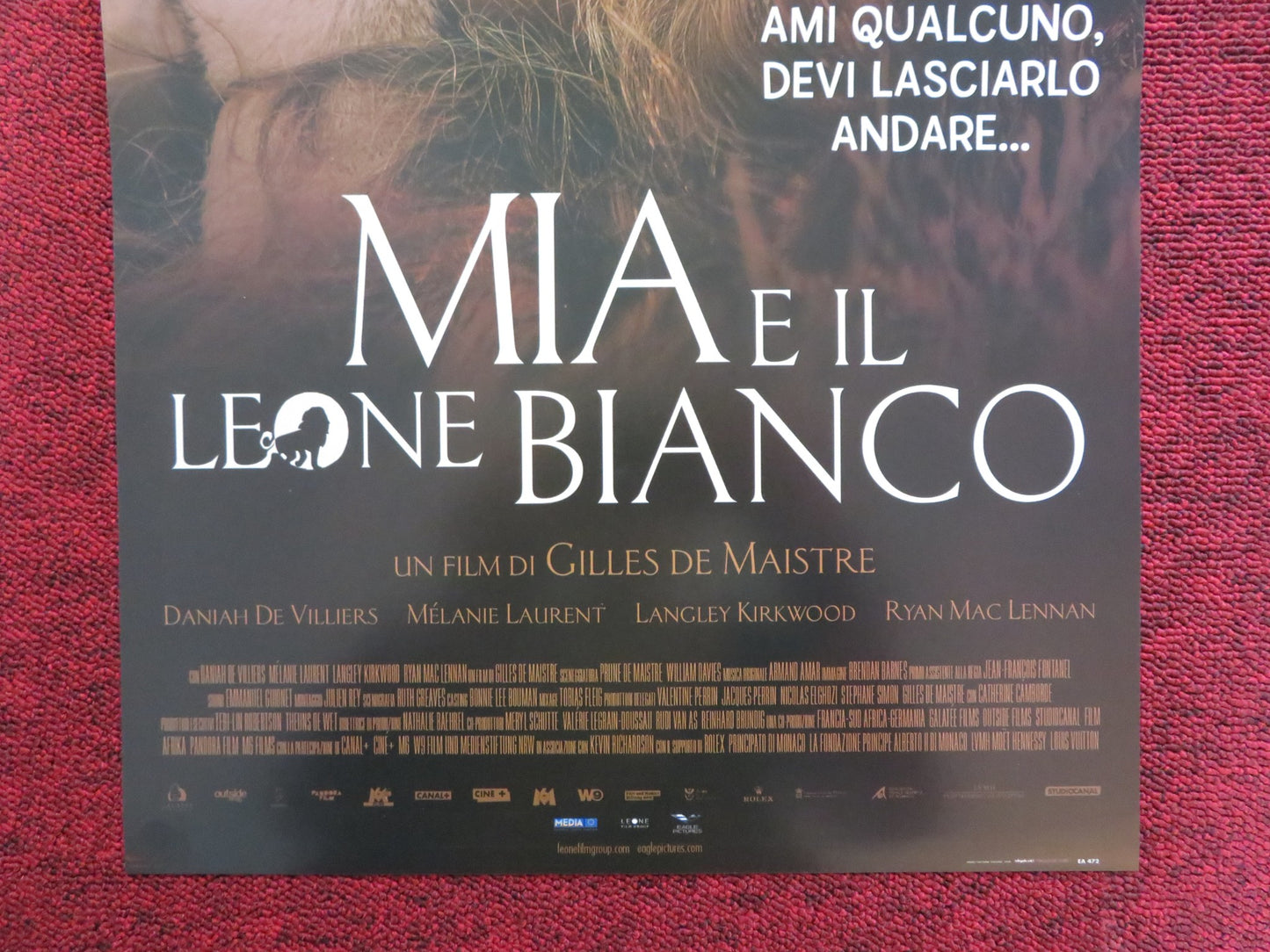 MIA AND THE WHITE LION ITALIAN LOCANDINA POSTER DANIAH DE VILLIERS 2018