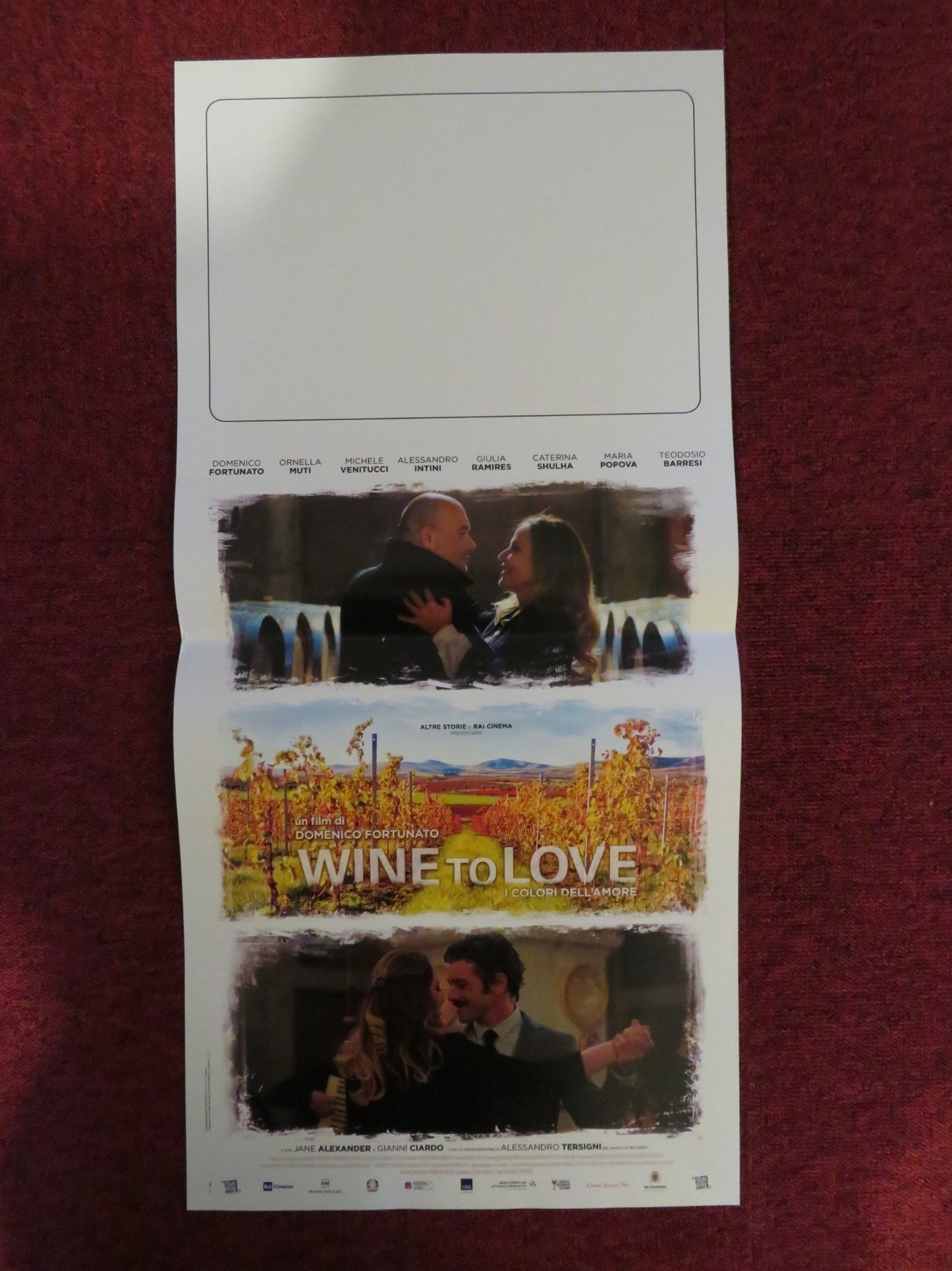 WINE TO LOVE ITALIAN LOCANDINA POSTER JANE ALEXANDER TEODOSIO BARRESI 2018