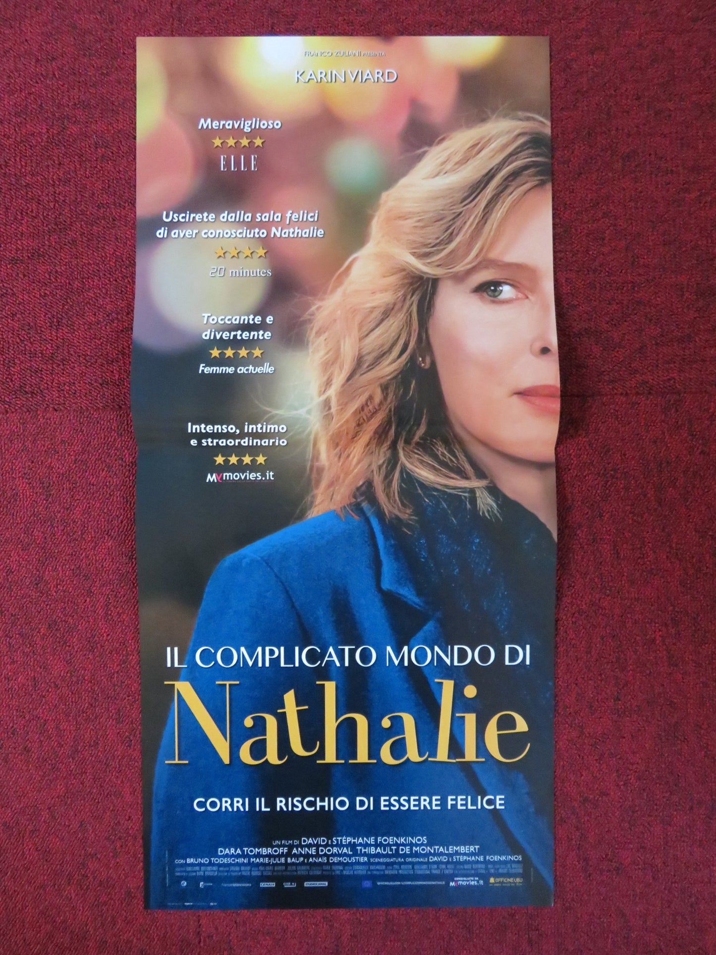 IL COMPLICATO MONDO DI NATHALIE ITALIAN LOCANDINA POSTER KARIN VIARD 2017