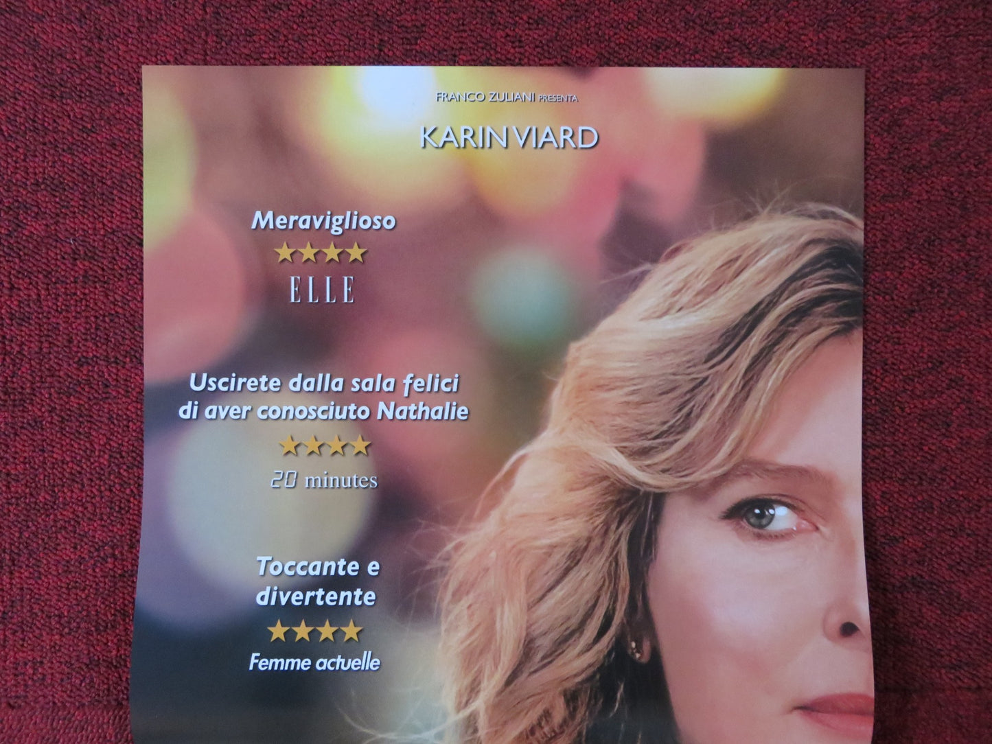 IL COMPLICATO MONDO DI NATHALIE ITALIAN LOCANDINA POSTER KARIN VIARD 2017