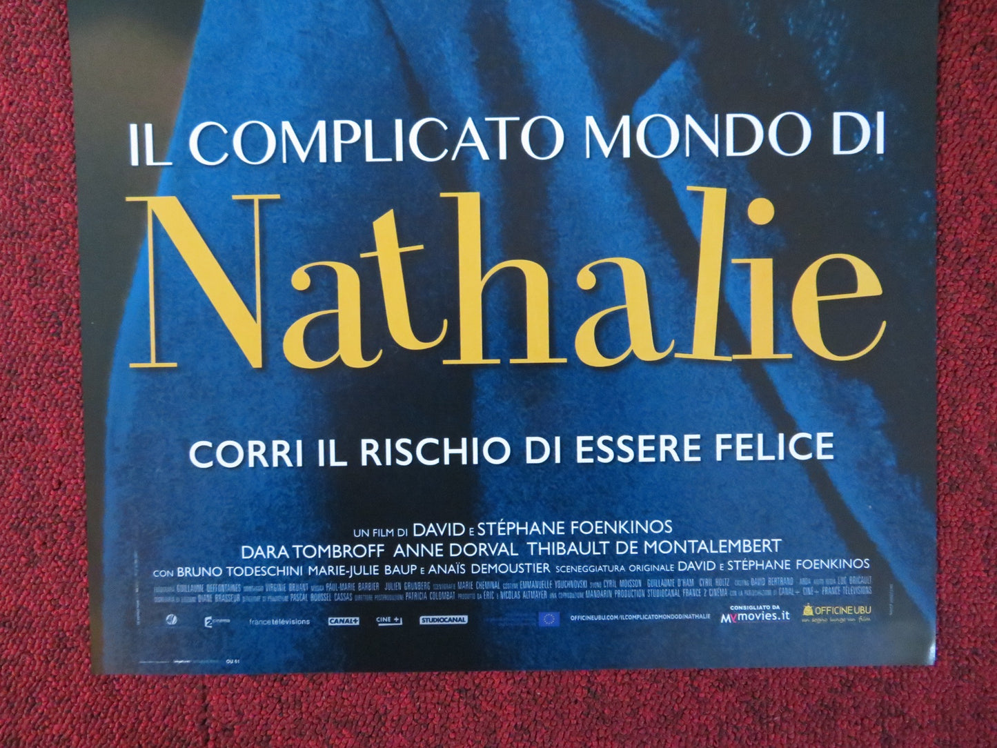 IL COMPLICATO MONDO DI NATHALIE ITALIAN LOCANDINA POSTER KARIN VIARD 2017