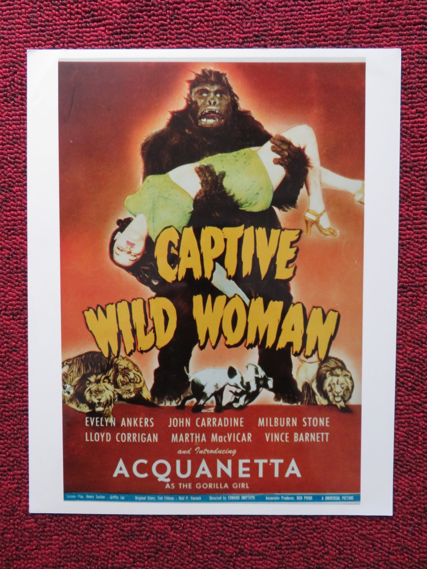 CAPTIVE WILD WOMAN DEALER PHOTO POSTER JOHN CARRADINE EVELYN ANKERS 1943