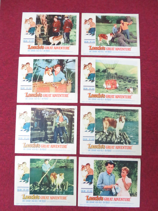 LASSIE'S GREAT ADVENTURE US LOBBY CARD FULL SET JUNE LOCKHART HUGH REILLY 1963