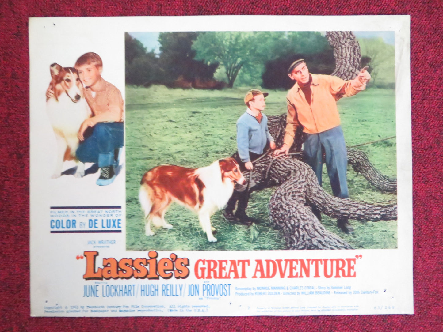 LASSIE'S GREAT ADVENTURE US LOBBY CARD FULL SET JUNE LOCKHART HUGH REILLY 1963