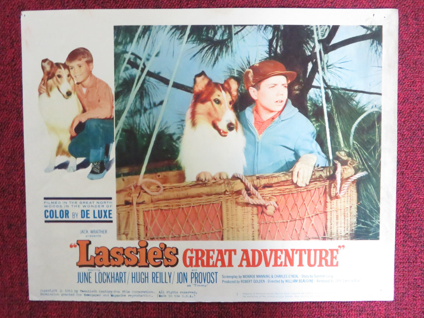 LASSIE'S GREAT ADVENTURE US LOBBY CARD FULL SET JUNE LOCKHART HUGH REILLY 1963