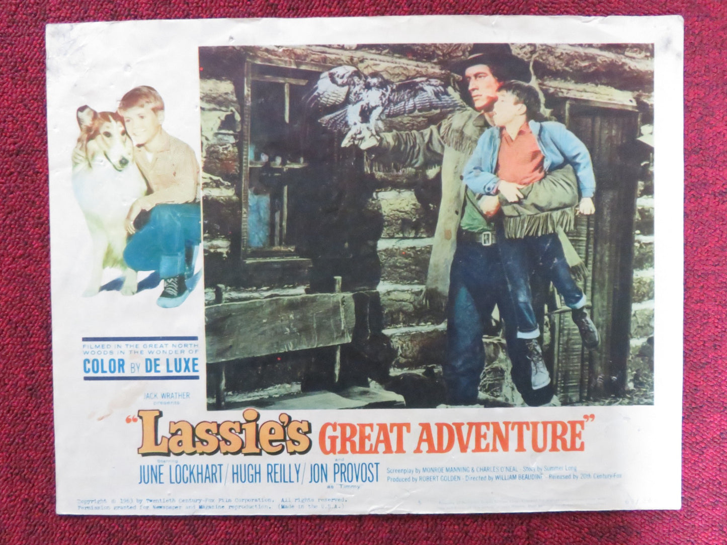 LASSIE'S GREAT ADVENTURE US LOBBY CARD FULL SET JUNE LOCKHART HUGH REILLY 1963