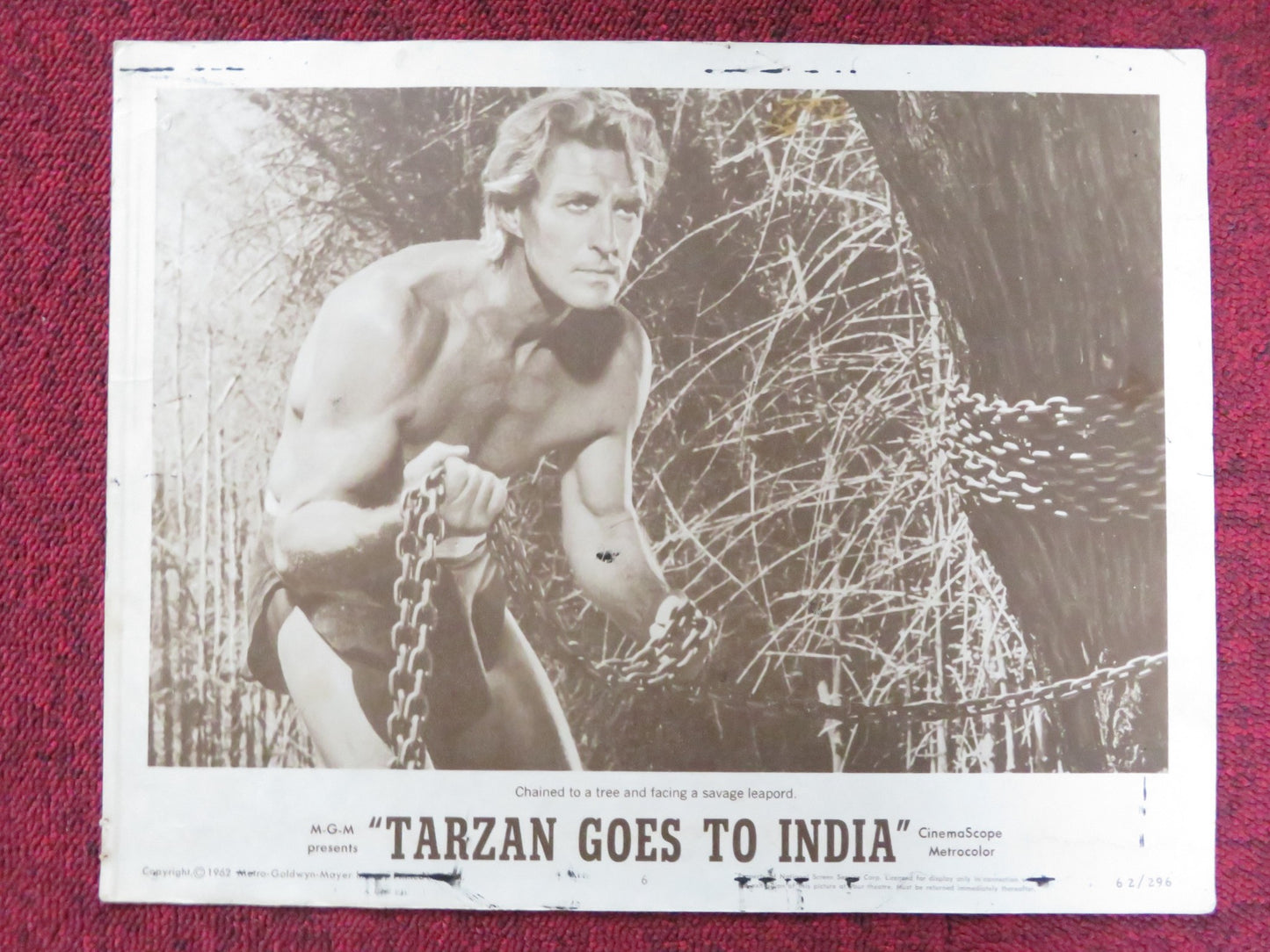 TARZAN GOES TO INDIA US LOBBY CARD FULL SET JOCK MAHONEY SIMI GAREWAL 1962