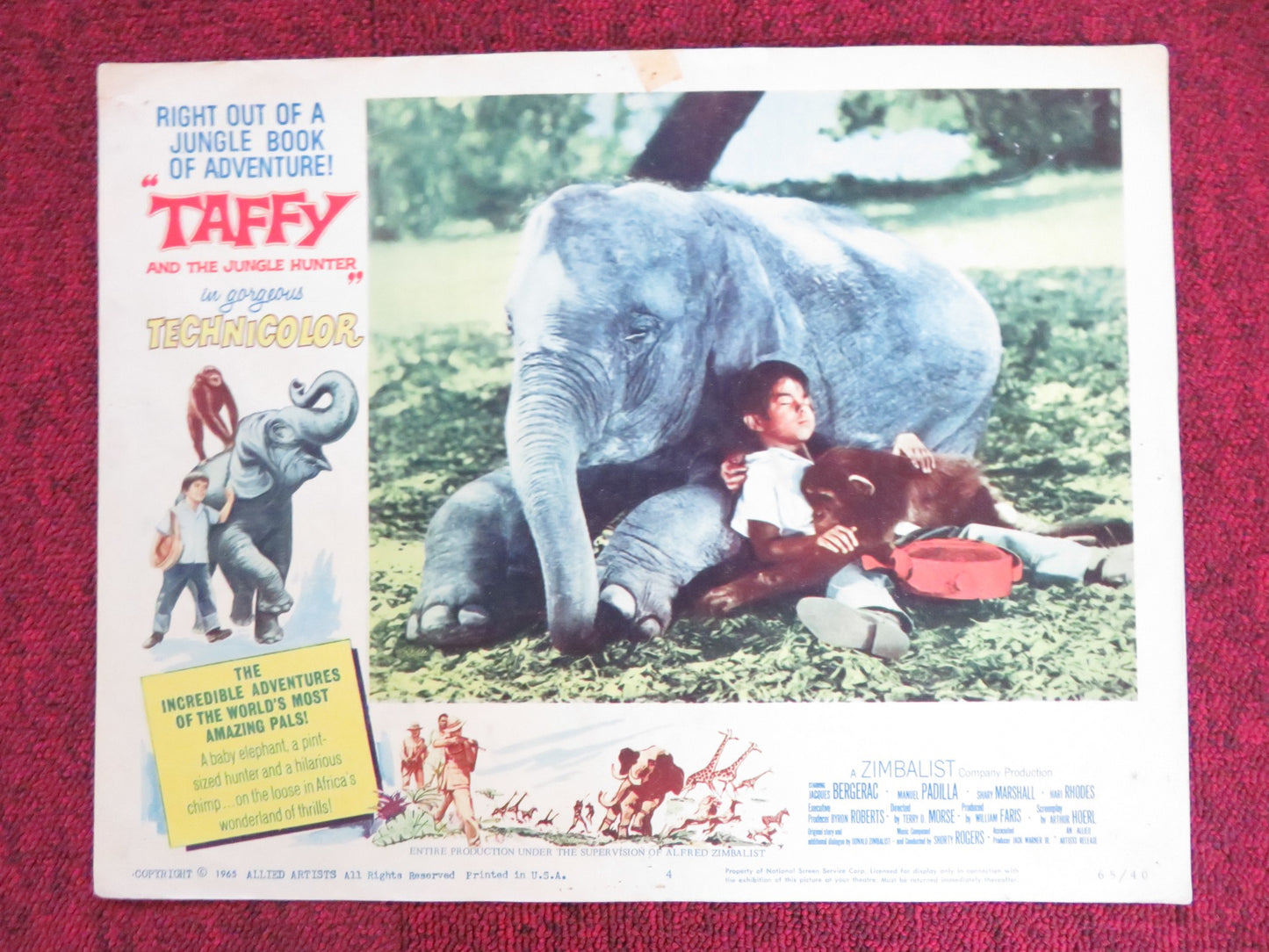 TAFFY AND THE JUNGLE HUNTER US LOBBY CARD FULL SET JACQUES BERGERAC 1965