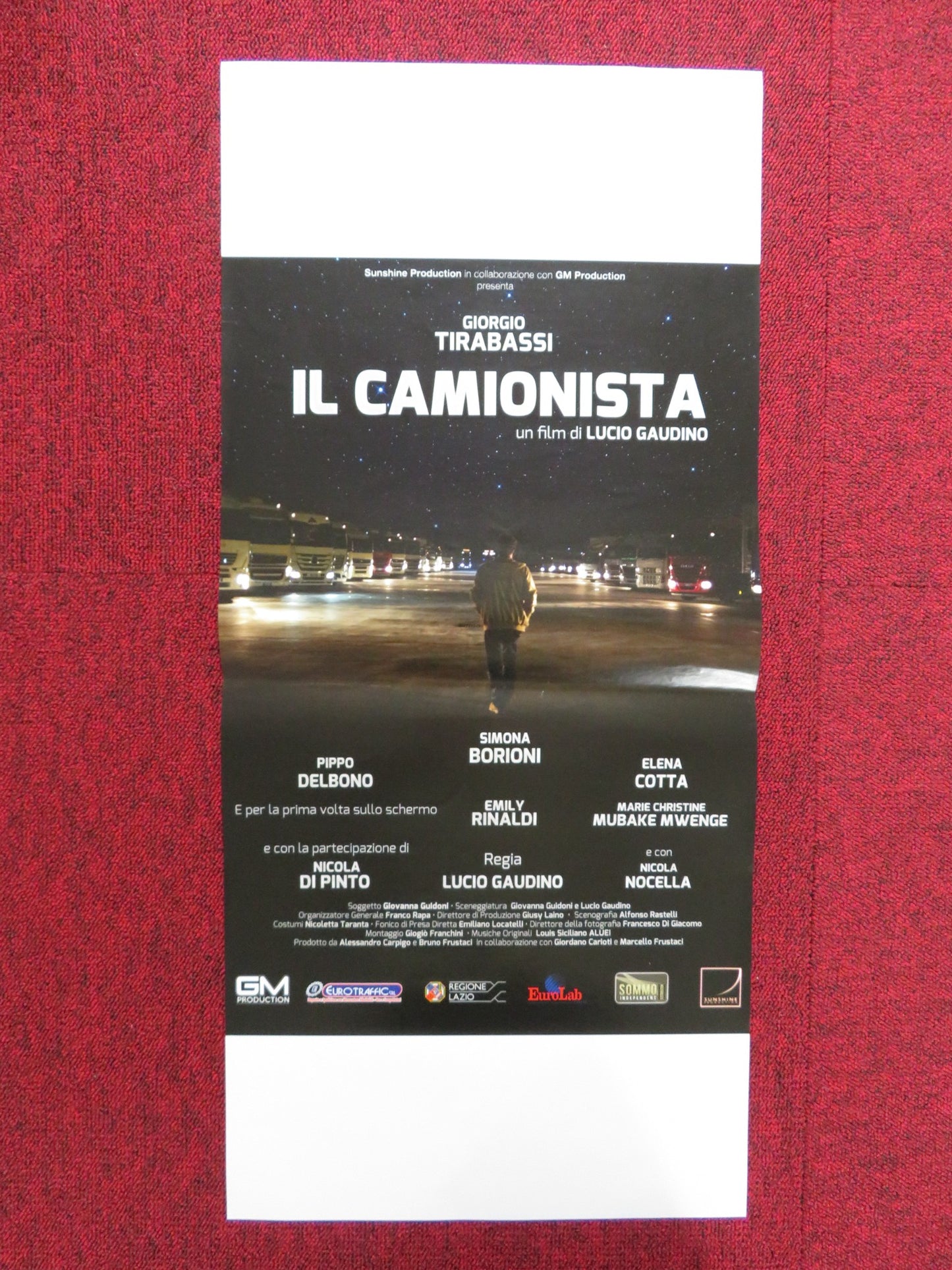 IL CAMIONISTA ITALIAN LOCANDINA POSTER SIMONA BORIONI PIPPO DELBONO 2016