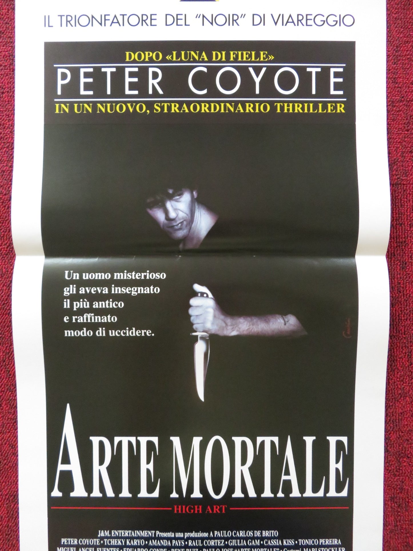 ARTE MORTALE ITALIAN LOCANDINA POSTER PETER COYOTE TCHEKY KARYO 1993