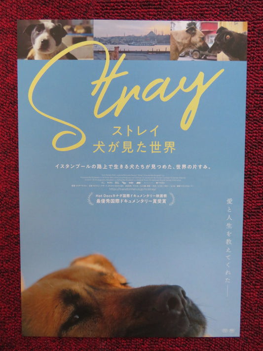 STRAY JAPANESE CHIRASHI (B5) POSTER ZEYTIN NAZAR 2020