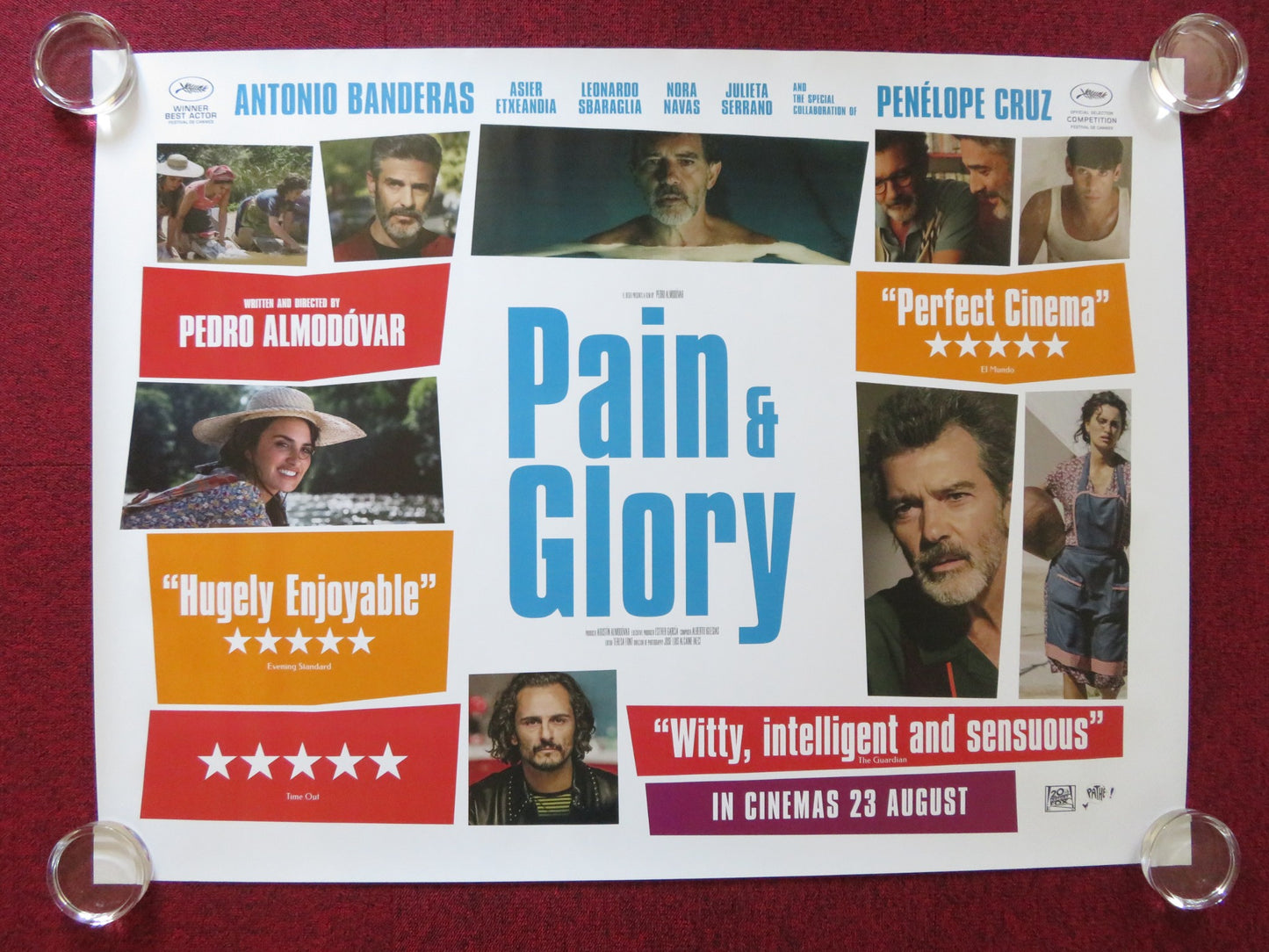 PAIN & GLORY UK QUAD (30"x 40") ROLLED POSTER ANTONIO BANDERAS 2019