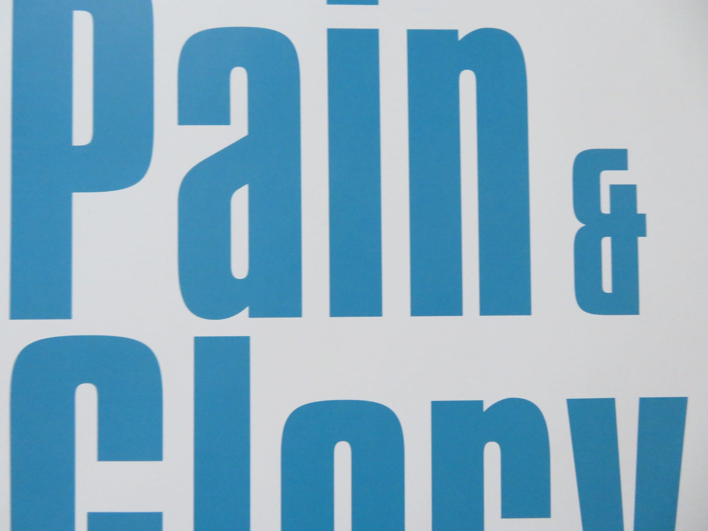 PAIN & GLORY UK QUAD (30"x 40") ROLLED POSTER ANTONIO BANDERAS 2019