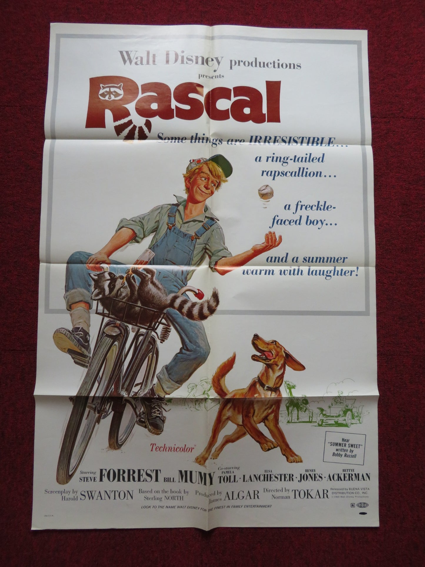 RASCAL FOLDED US ONE SHEET POSTER DISNEY STEVE FORREST BILL MUMY 1969