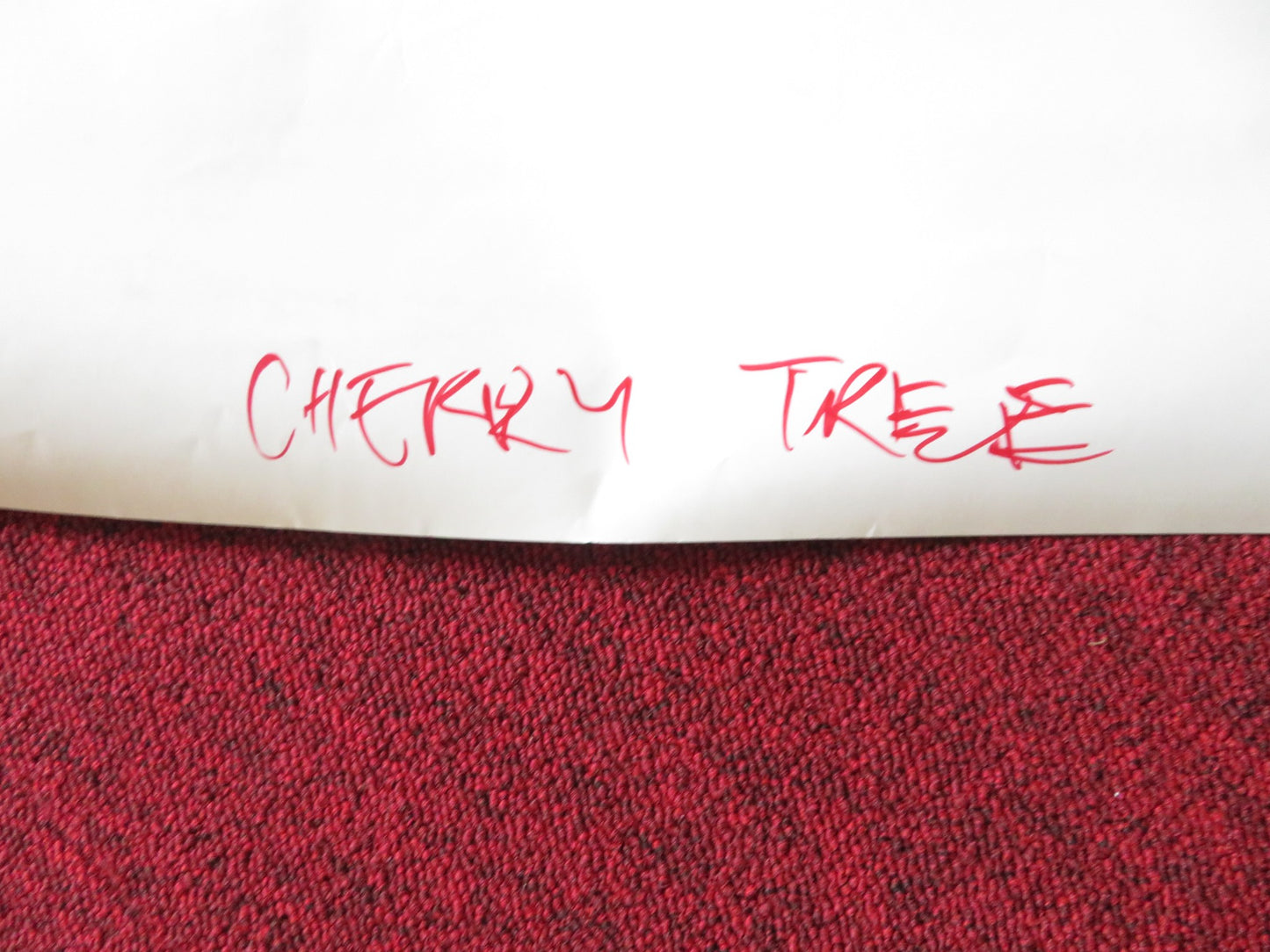 CHERRY TREE UK QUAD (30"x 40") ROLLED POSTER ANNA WALTON NAOMI BATTRICK 2015