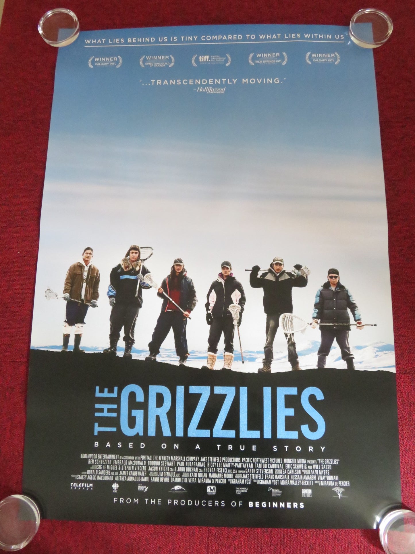 THE GRIZZLIES US ONE SHEET ROLLED POSTER JACK ANAWAK FRED BAILEY 2018