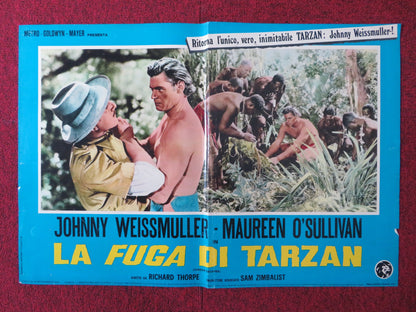 LA FUGA DI TARZAN / TARZAN ESCAPES - A ITALIAN FOTOBUSTA POSTER WEISSMULLE 1954