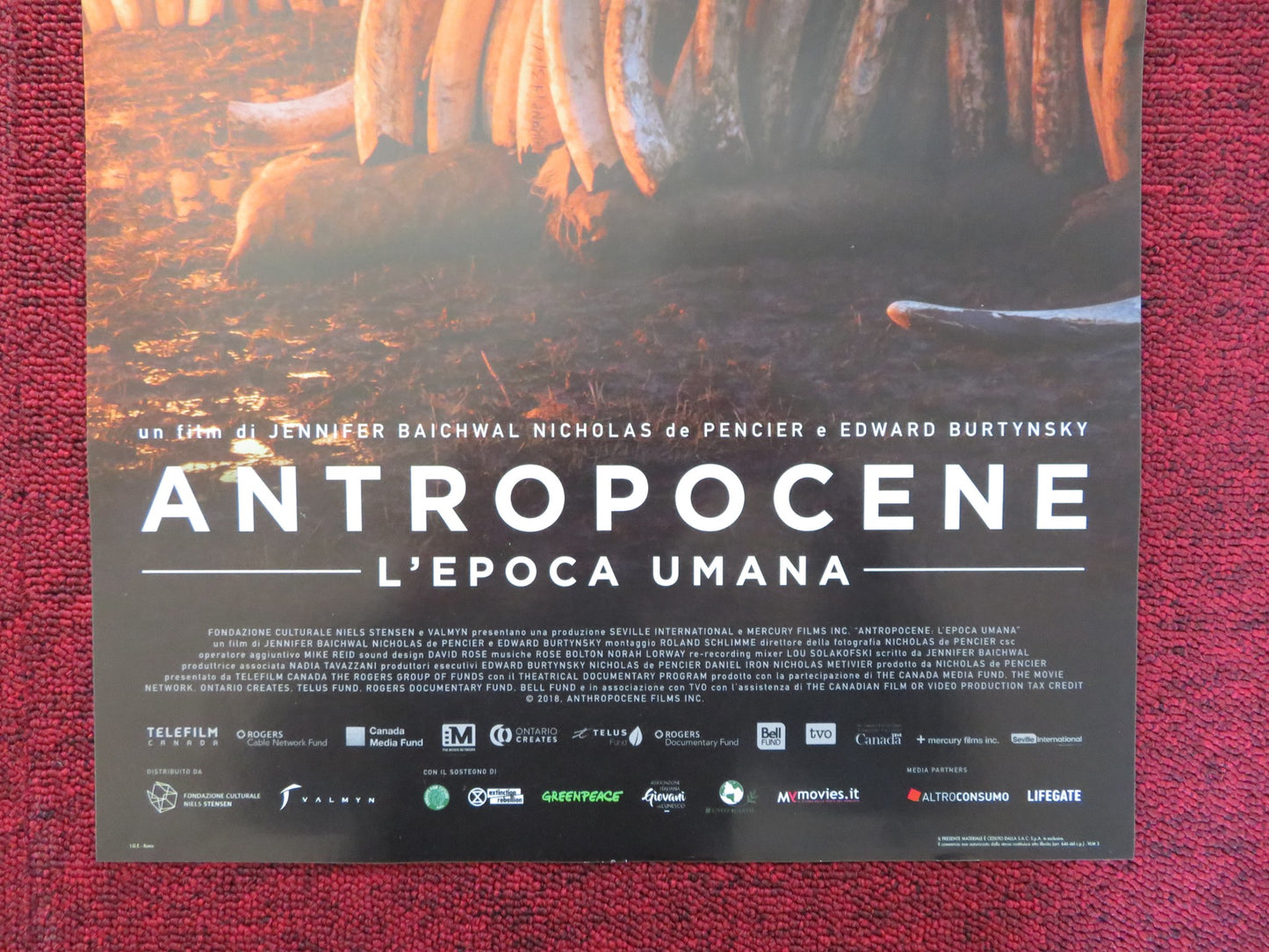 ANTROPOCENE L'EPOCA UMANA ITALIAN LOCANDINA POSTER ALICIA VIKANDER 2018