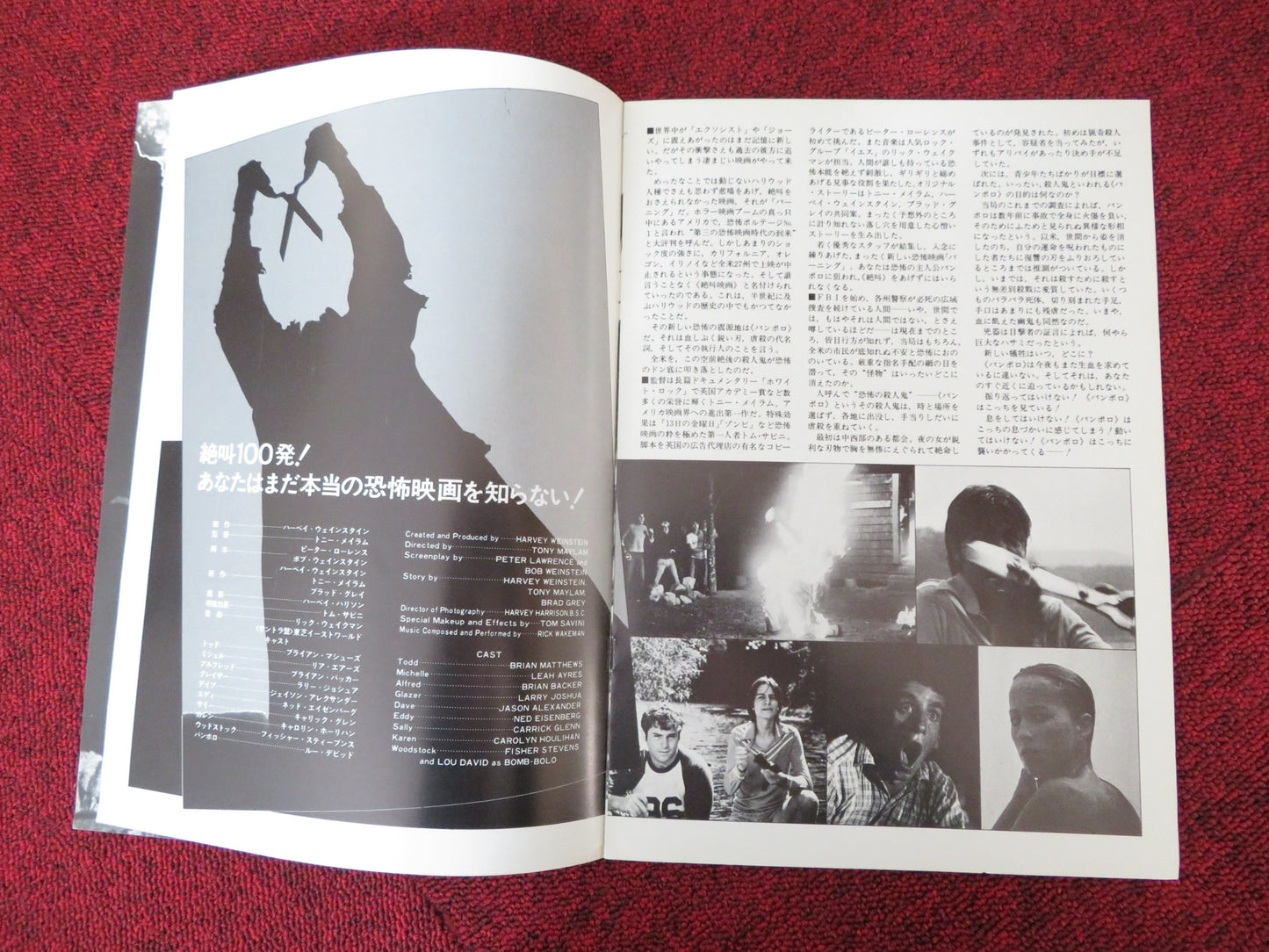 THE BURNING JAPANESE BROCHURE / PRESS BOOK BRIAN MATTHEWS LEAH AYRES 1981