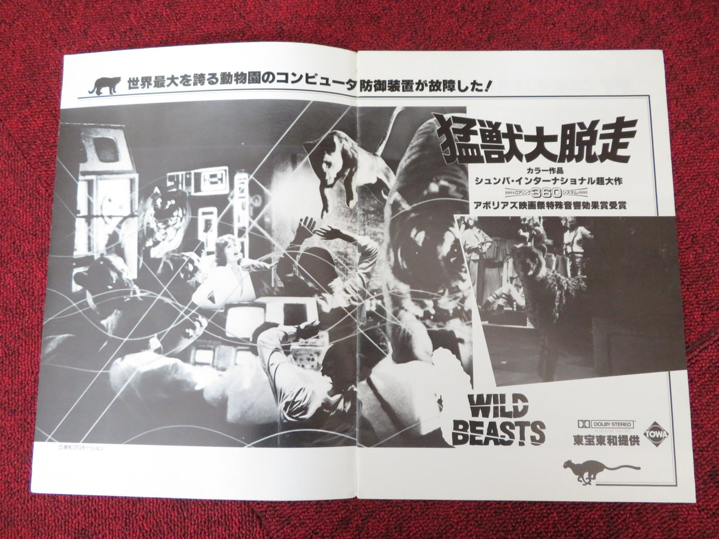 THE WILD BEASTS JAPANESE BROCHURE / PRESS BOOK LORRAINE DE SELLE ANTONIO DI LEO