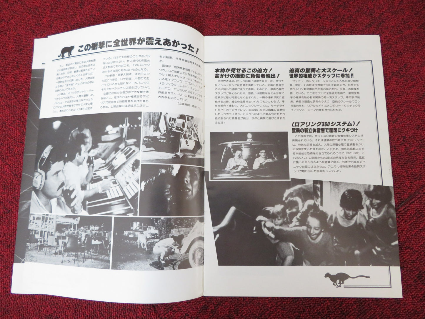 THE WILD BEASTS JAPANESE BROCHURE / PRESS BOOK LORRAINE DE SELLE ANTONIO DI LEO