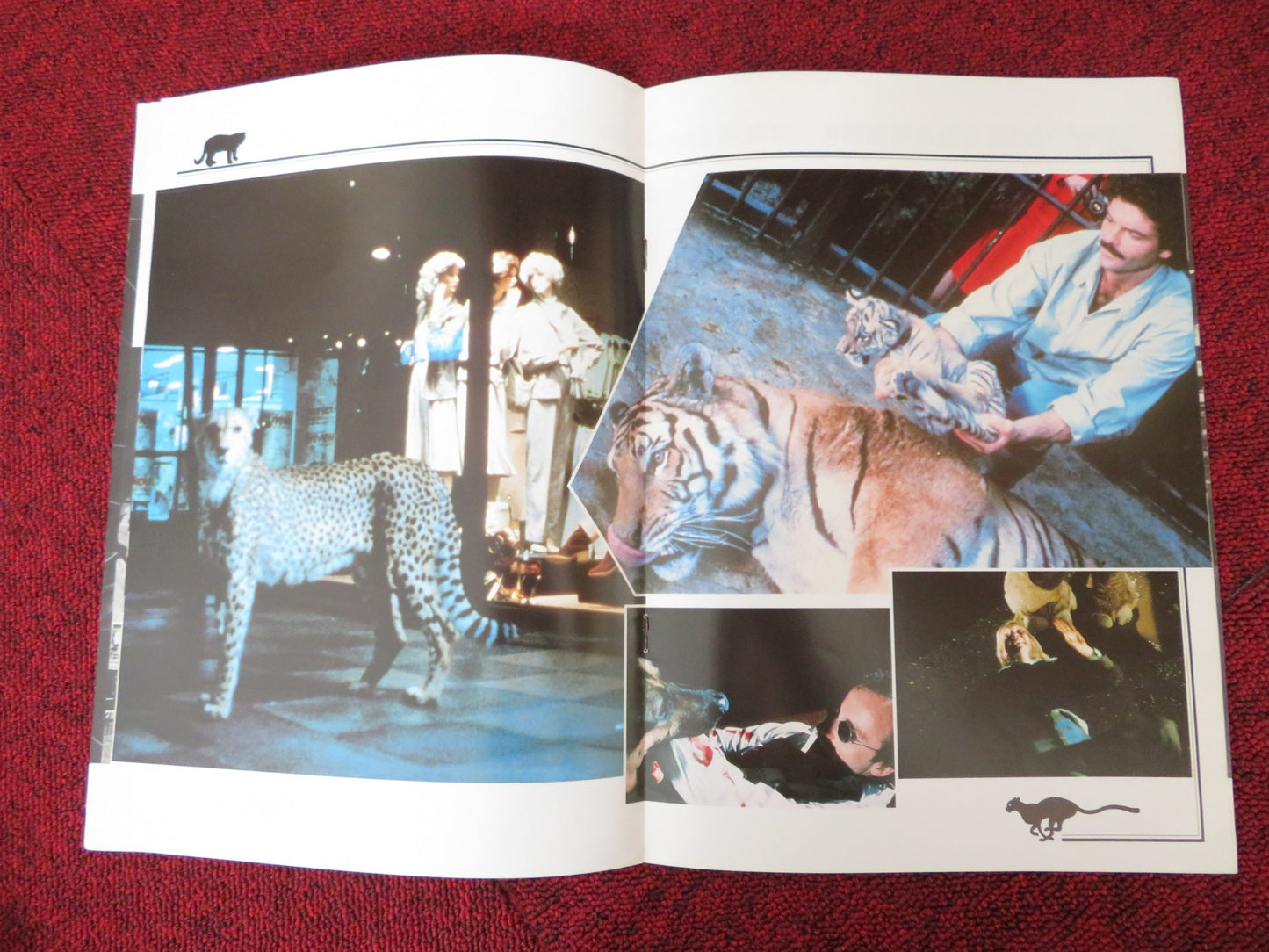 THE WILD BEASTS JAPANESE BROCHURE / PRESS BOOK LORRAINE DE SELLE ANTONIO DI LEO