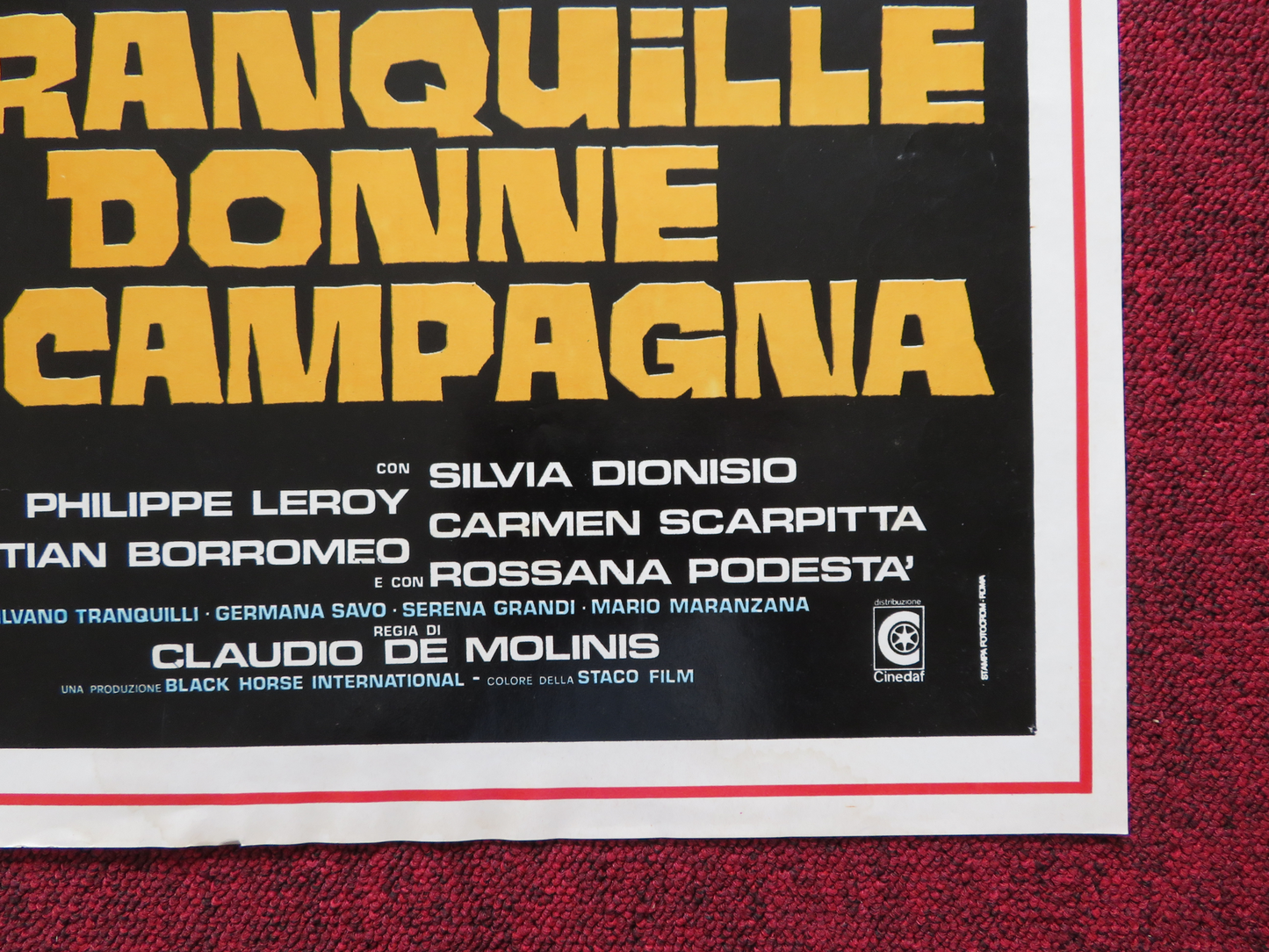 TRANQUILLE DONNE DI CAMPAGNA ITALIAN FOTOBUSTA POSTER SILVIA DIONISIO 1980