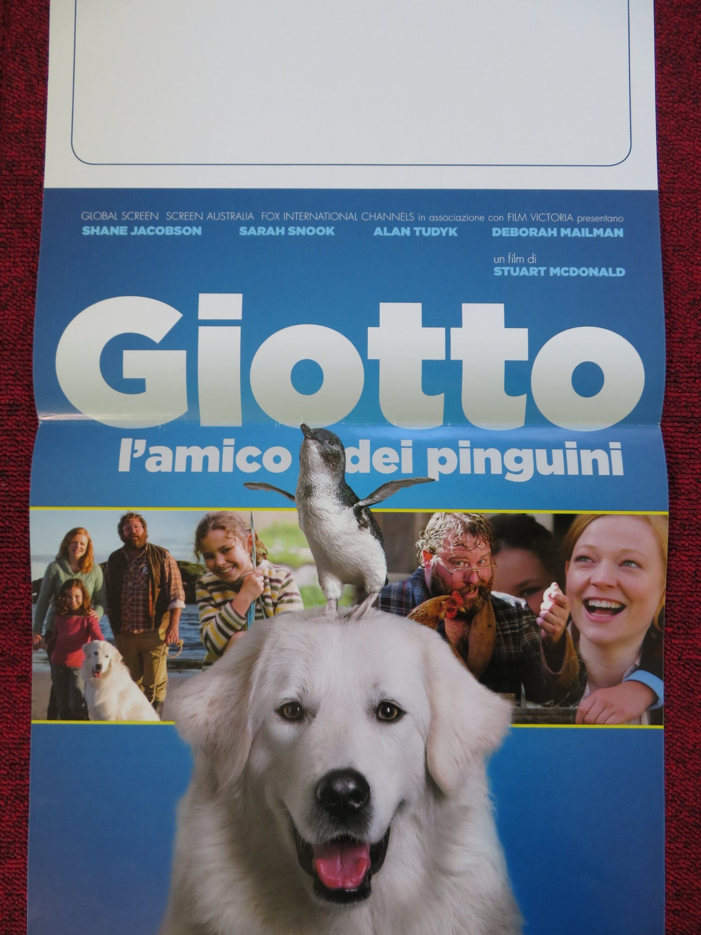 GIOTTO L'AMICO DEI PINGUINI ITALIAN LOCANDINA (26.5"x12.5") POSTER 2015